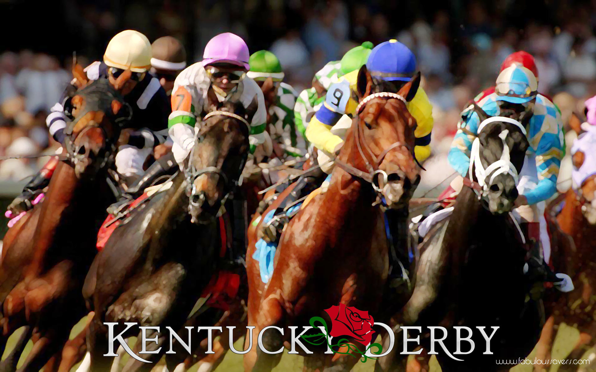 1920x1200 Roses Kentucky Derby, computer desktop wallpapers, pictures, images .