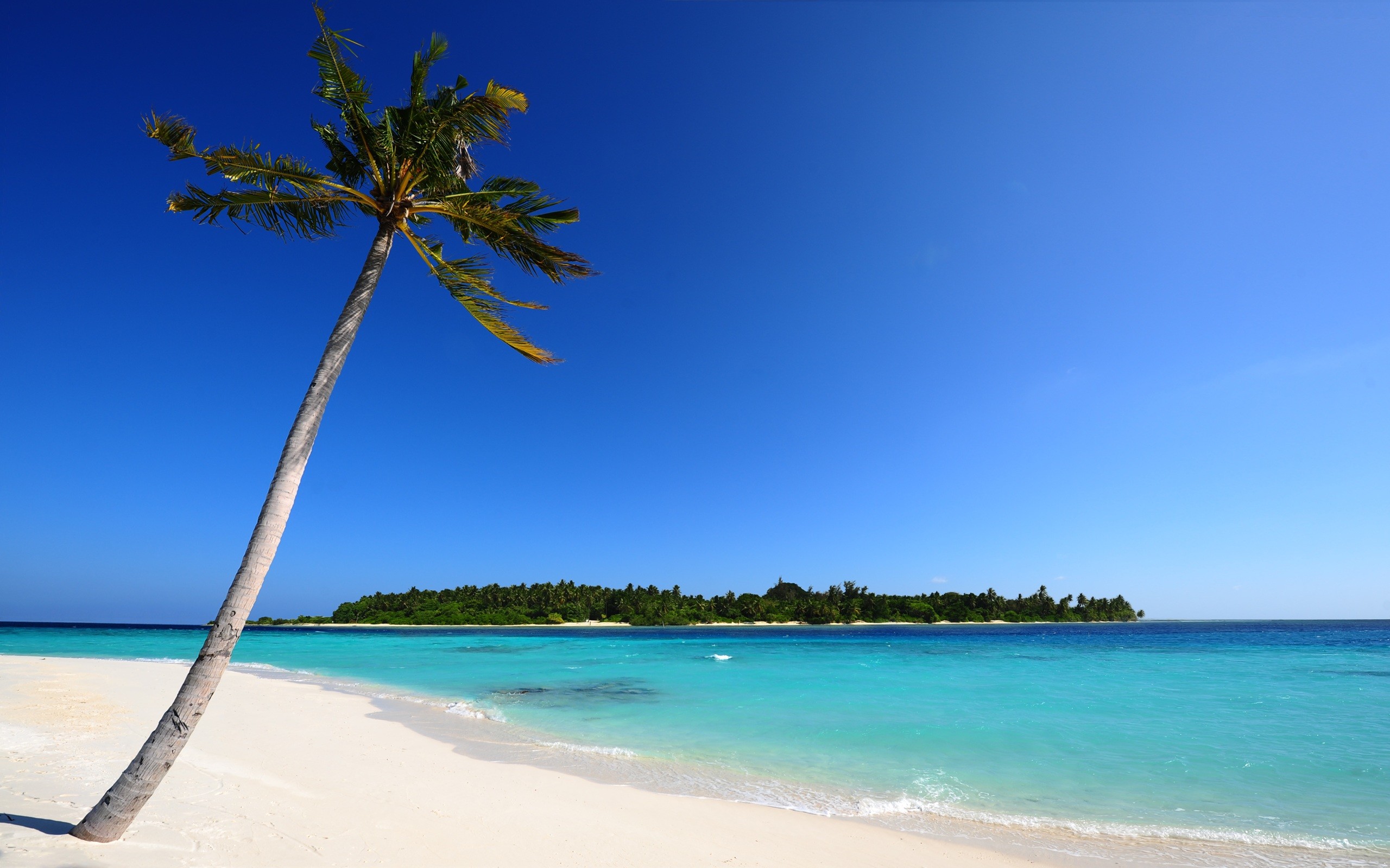 2560x1600 Erde/Natur - Strand SchÃ¶nheiten Himmel Ozean Blau Maldives Insel Palme  Tropisch Sand Wallpaper