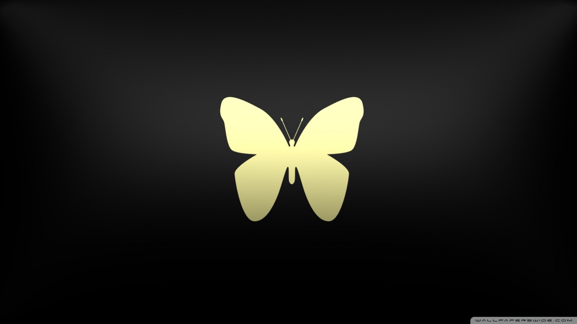 1920x1080 Vector Butterfly on shades HD Wide Wallpaper for Widescreen