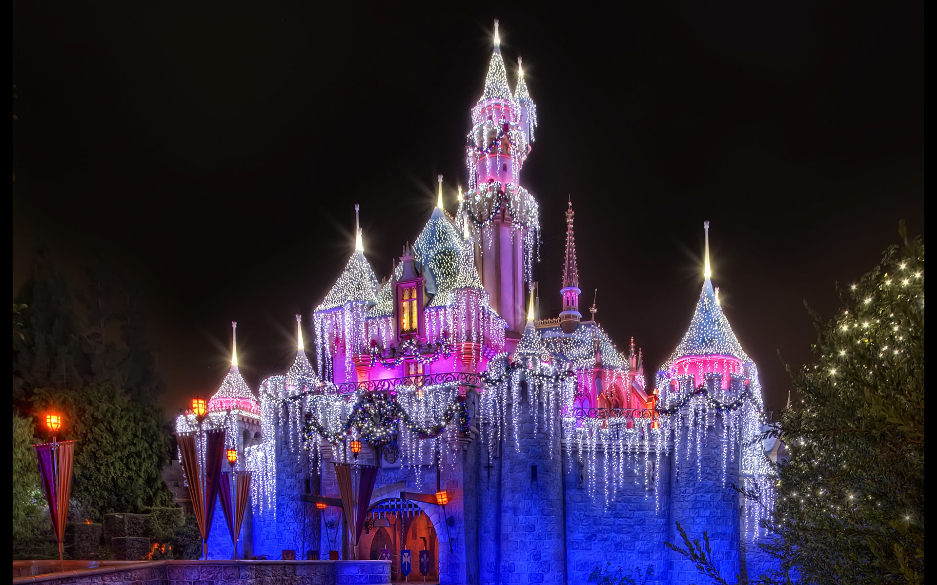 1920x1200 Disneyland Vacations : Disneyland Fantasy Christmas Holidays : Disneyland  Sleeping Beauty Castle with Christmas Lights 562