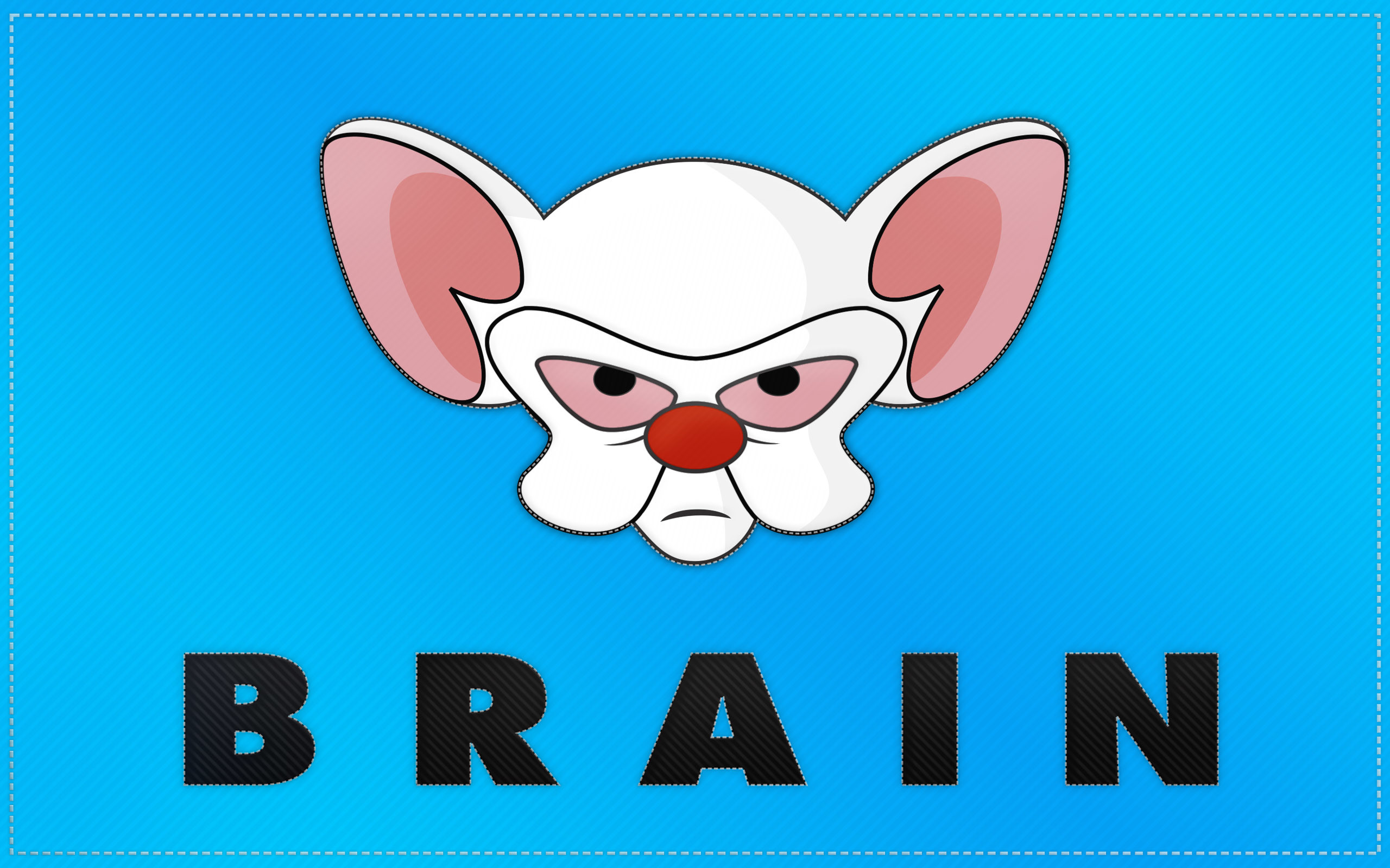 2560x1600 Free Subscribe. Pinky And The Brain Wallpaper ...