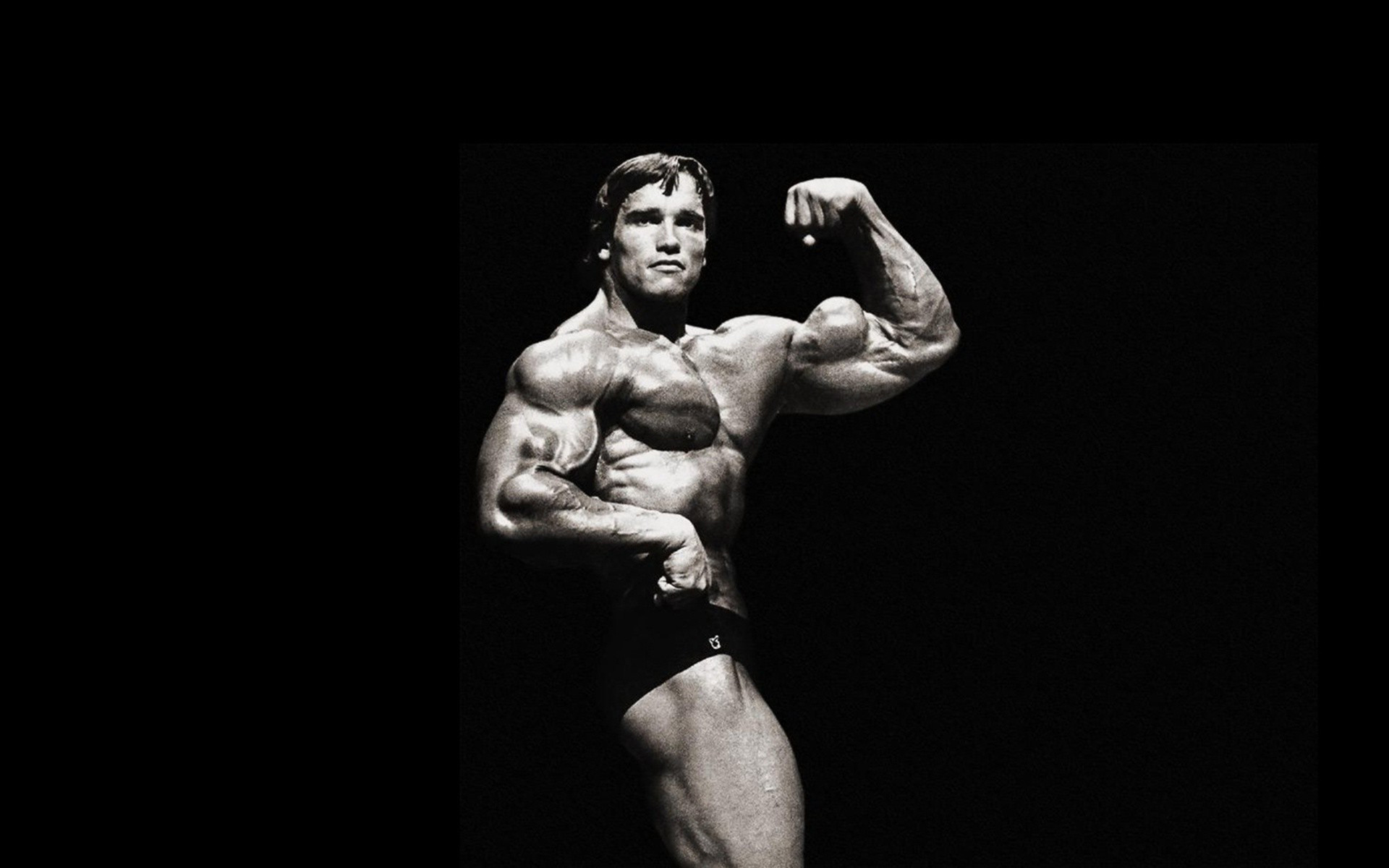 1920x1200 Wallpapers Of The Day: Arnold Schwarzenegger |  px Arnold  Schwarzenegger Photos