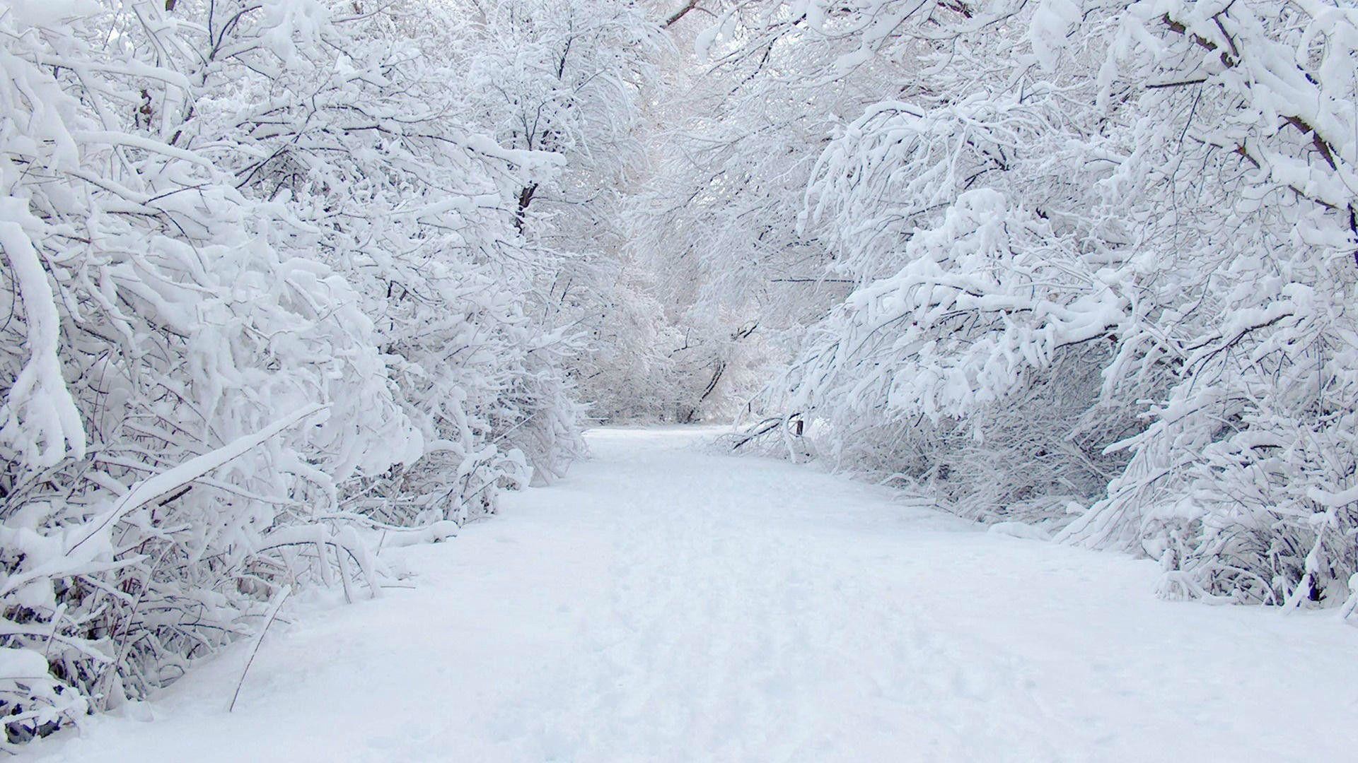 1920x1080 Wallpapers For > Winter Wonderland Backgrounds