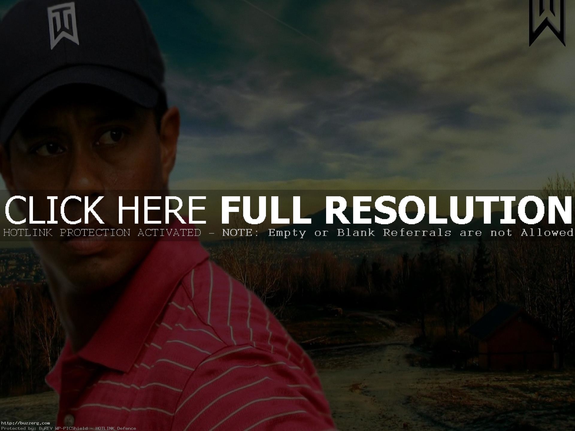 1920x1440 Tiger Woods Resolution (id: 191940)