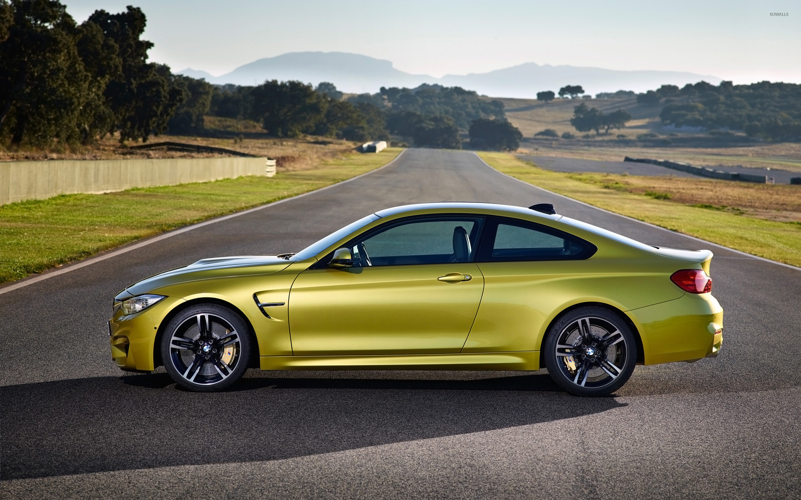 2560x1600  2014 BMW M4 Coupe [2] wallpaper  jpg