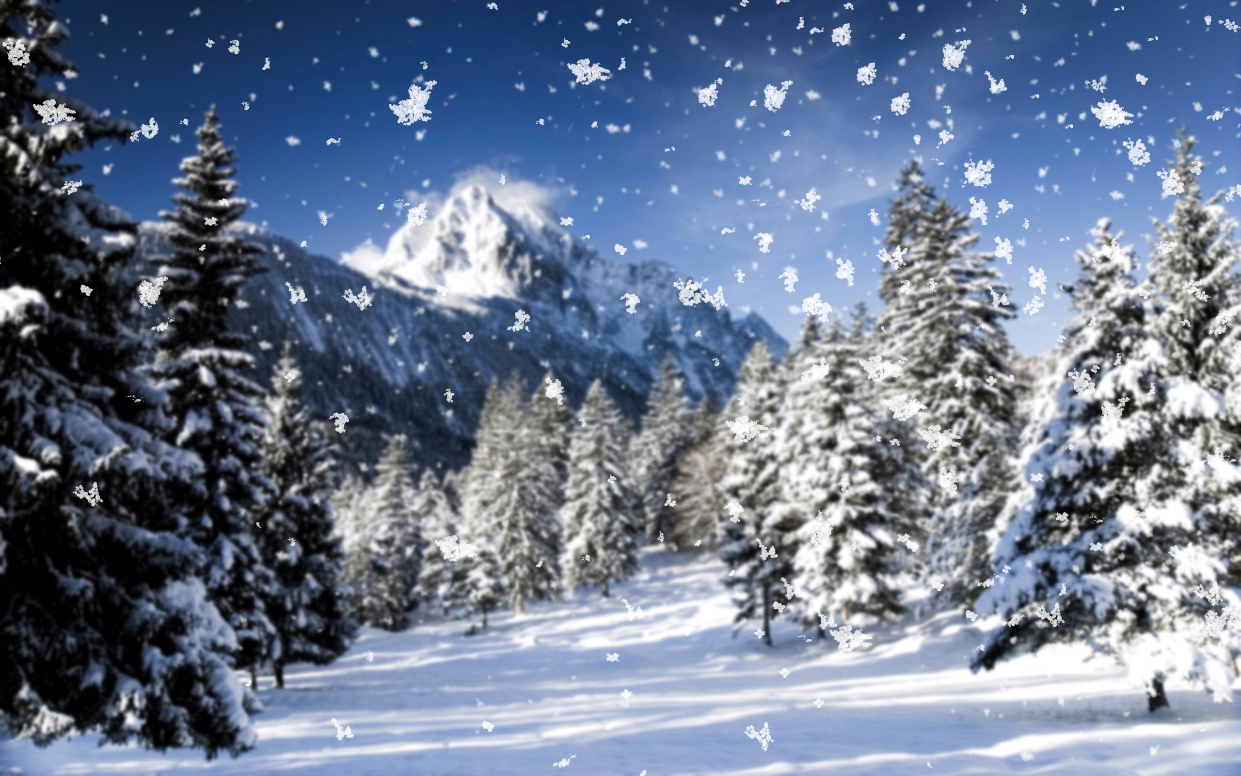 2560x1600 Wallpaper Snowfall, Flakes, Precipitation, Winter, Fir-trees, Trees HD,  Picture, Image