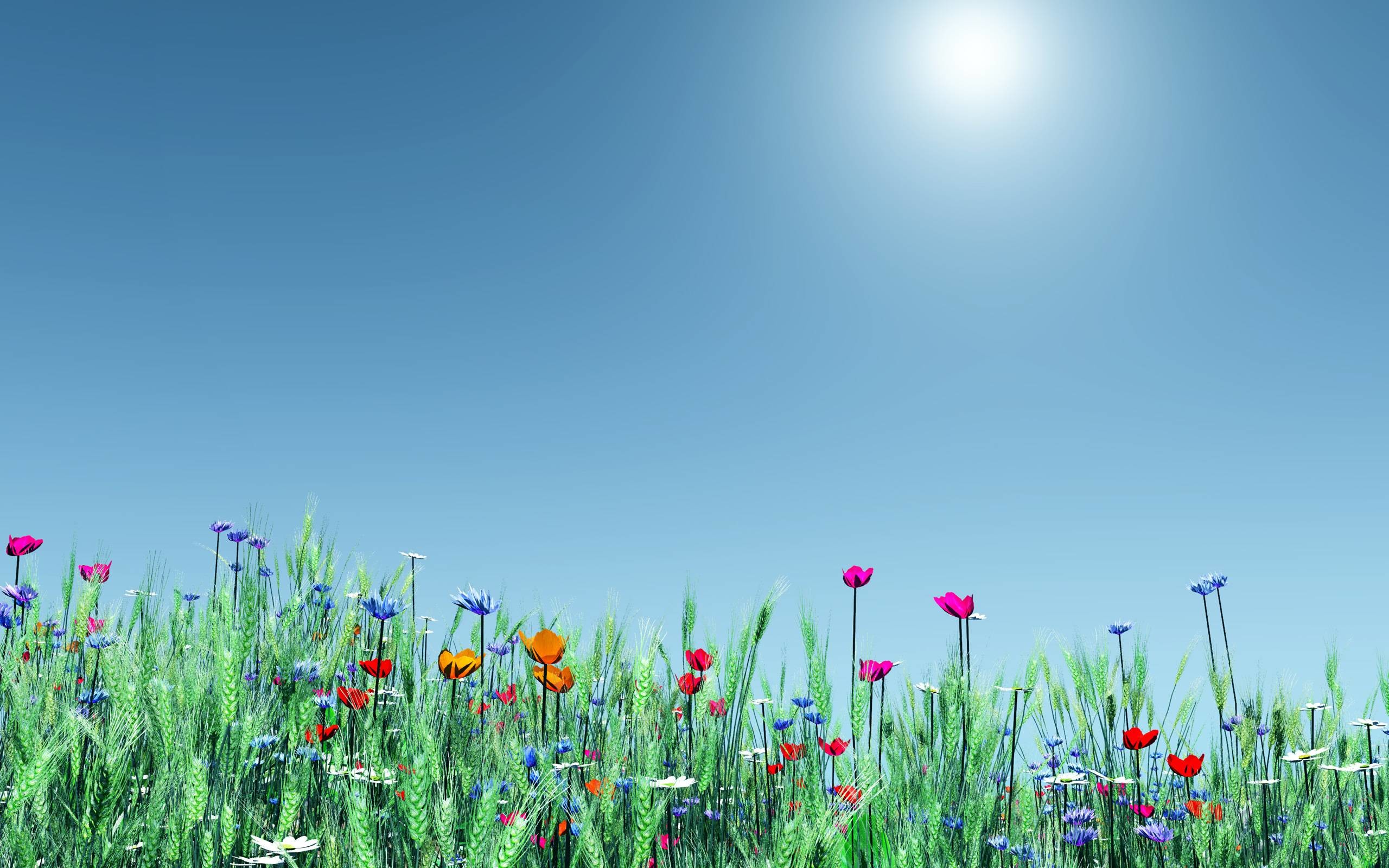 2560x1600 Spring Flowers Windows 8 and 8.1 Wallpapers | Windows 8.1 Themes .