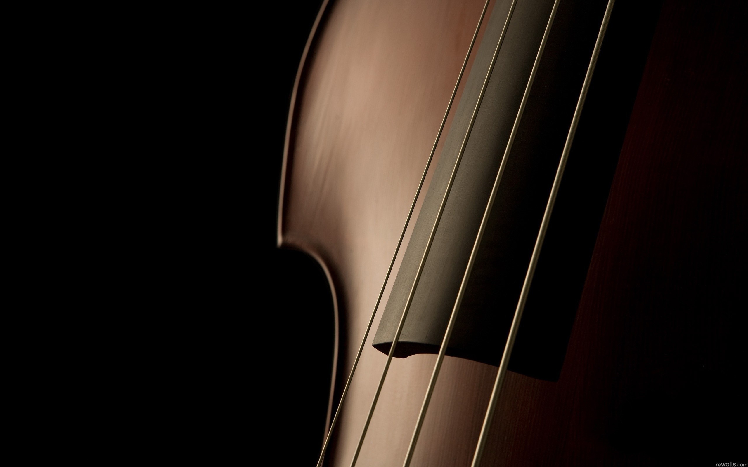 2560x1600 Music - Violin Wallpaper