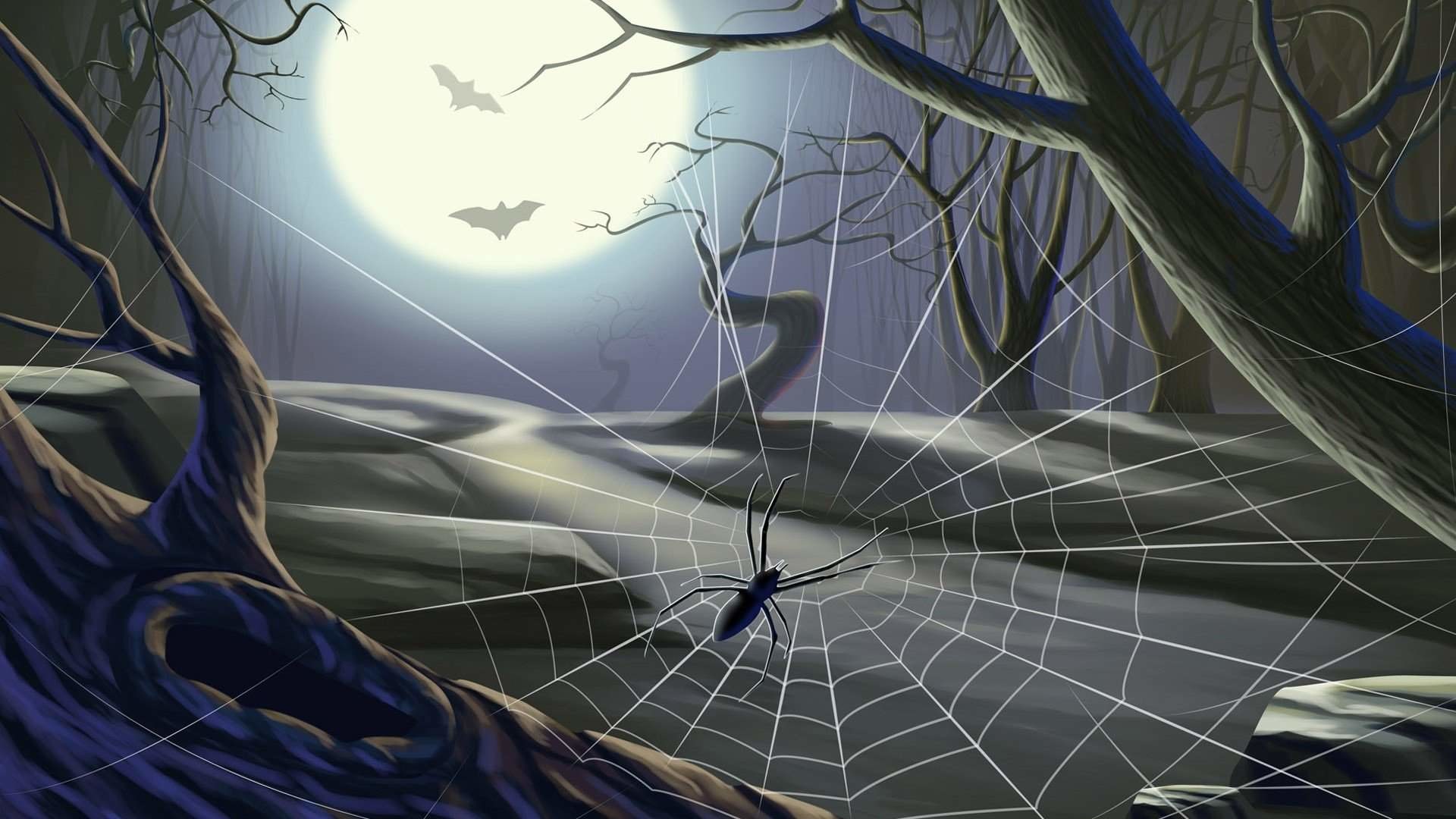 1920x1080 Images Of Scary Spider Web Wallpaper - #SC