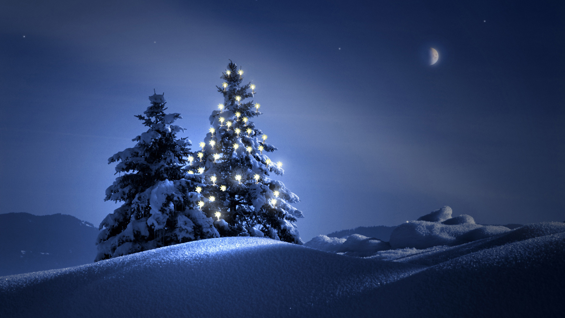 1920x1080 "Collection of hundreds of Christmas Tree Wallpaper from all over the world.