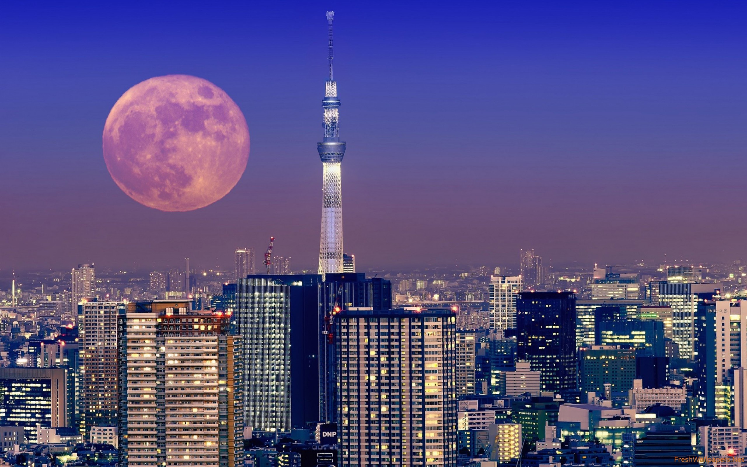 2560x1600 Tokyo Skyline Wallpapers Phone As Wallpaper HD