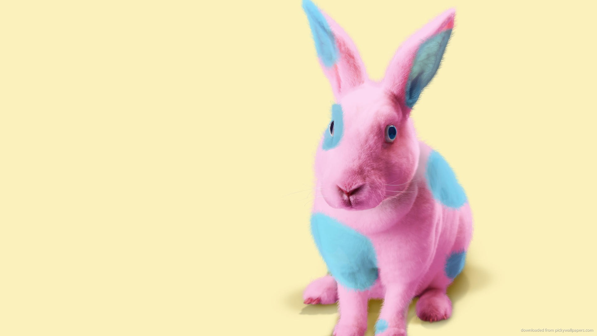 1920x1080 HD Pink and blue Easter bunny wallpaper