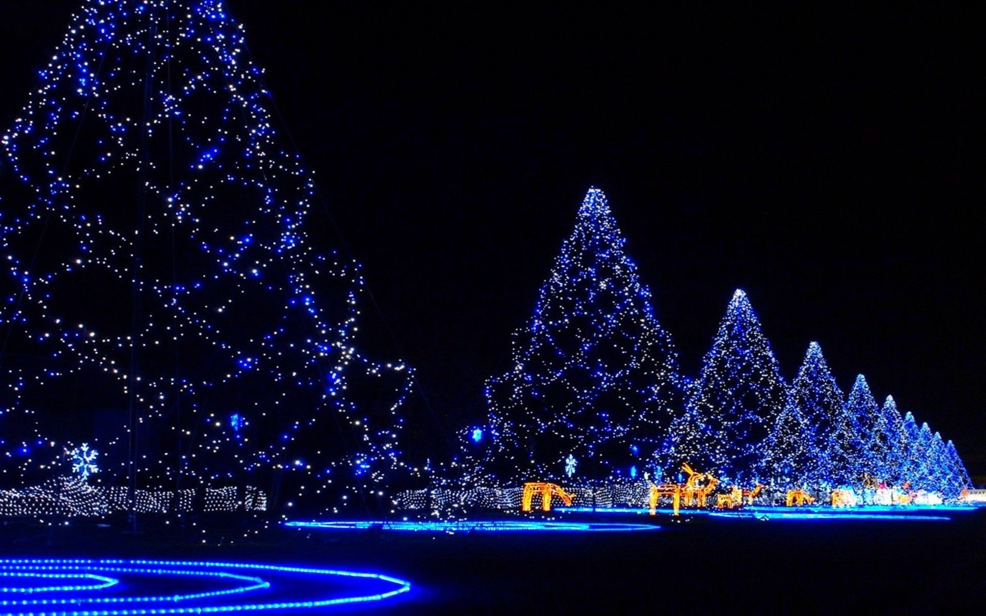 1920x1200 Christmas trees covered in lights merry christmas holiday holidays hd  wallpaper.