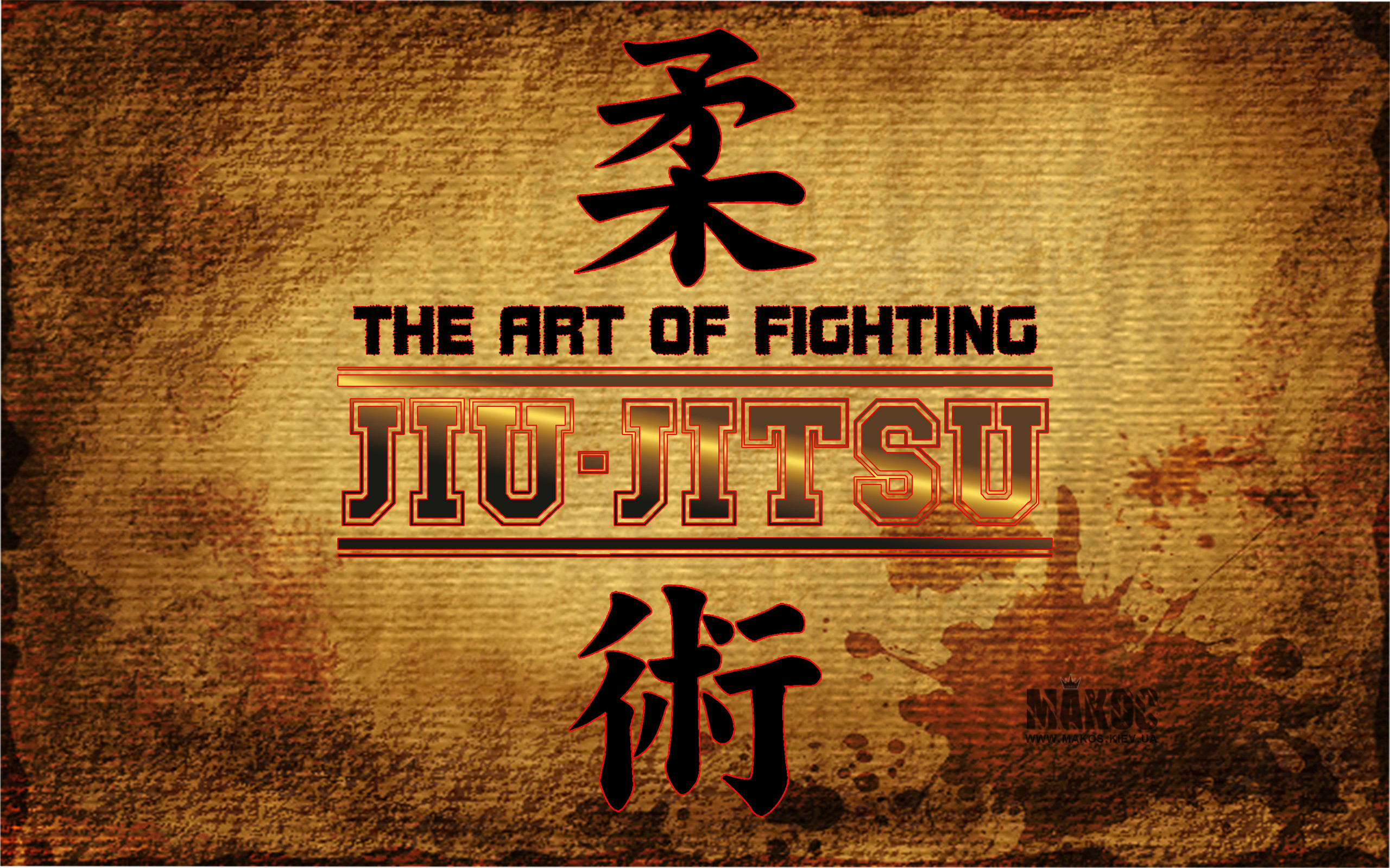2560x1600 Jiu Jitsu Wallpaper Images | TheCelebrityPix