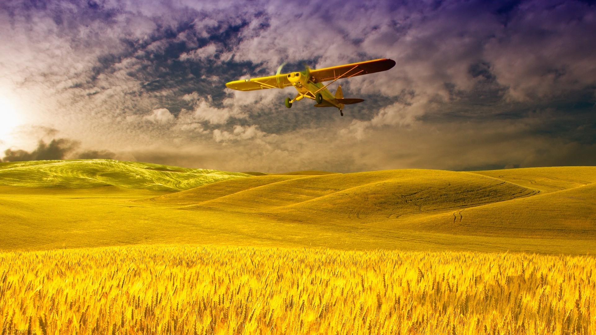 1920x1080 Plane over a field of grain wallpaper