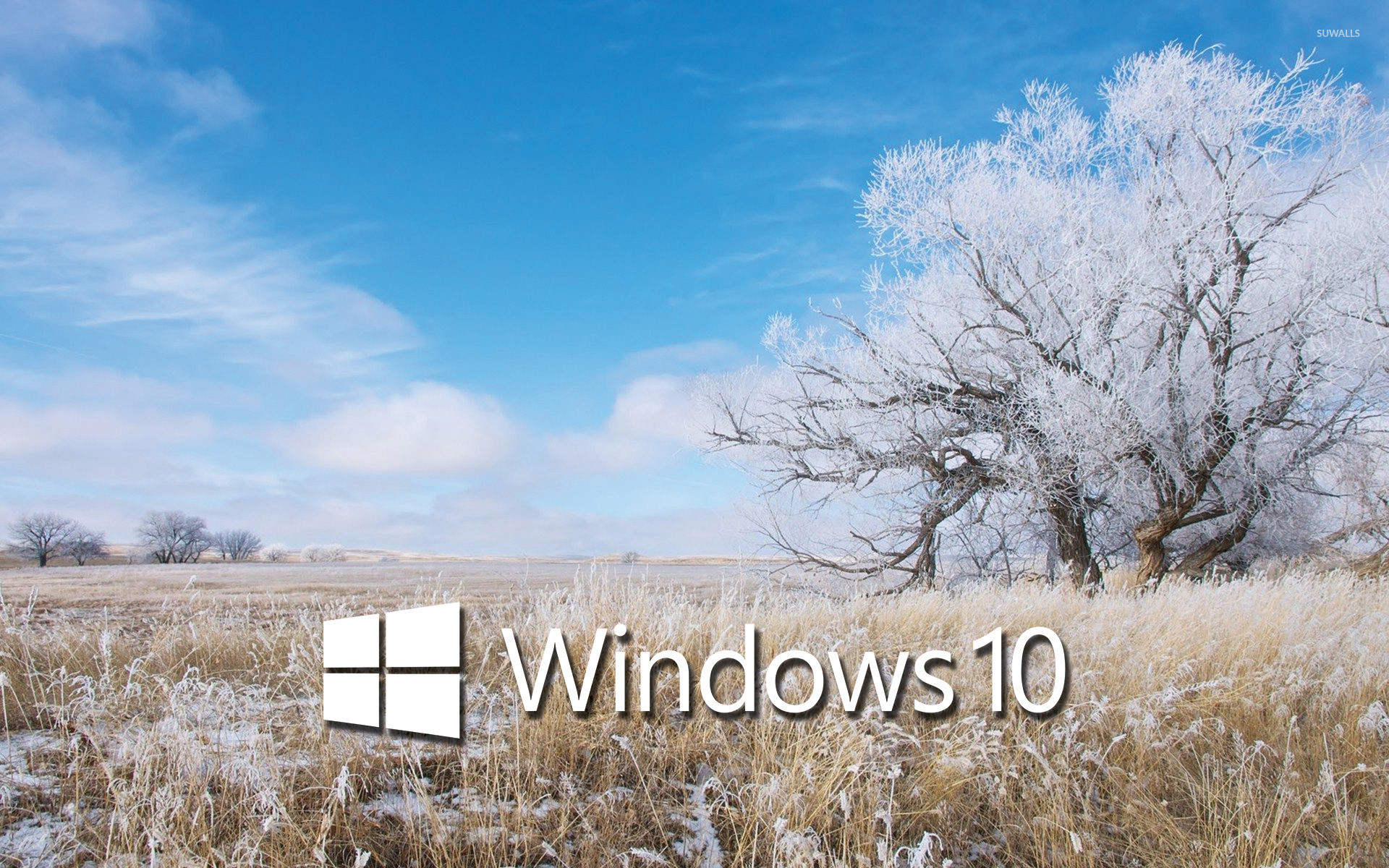 1920x1200 Windows 10 white text logo over the frosty field wallpaper