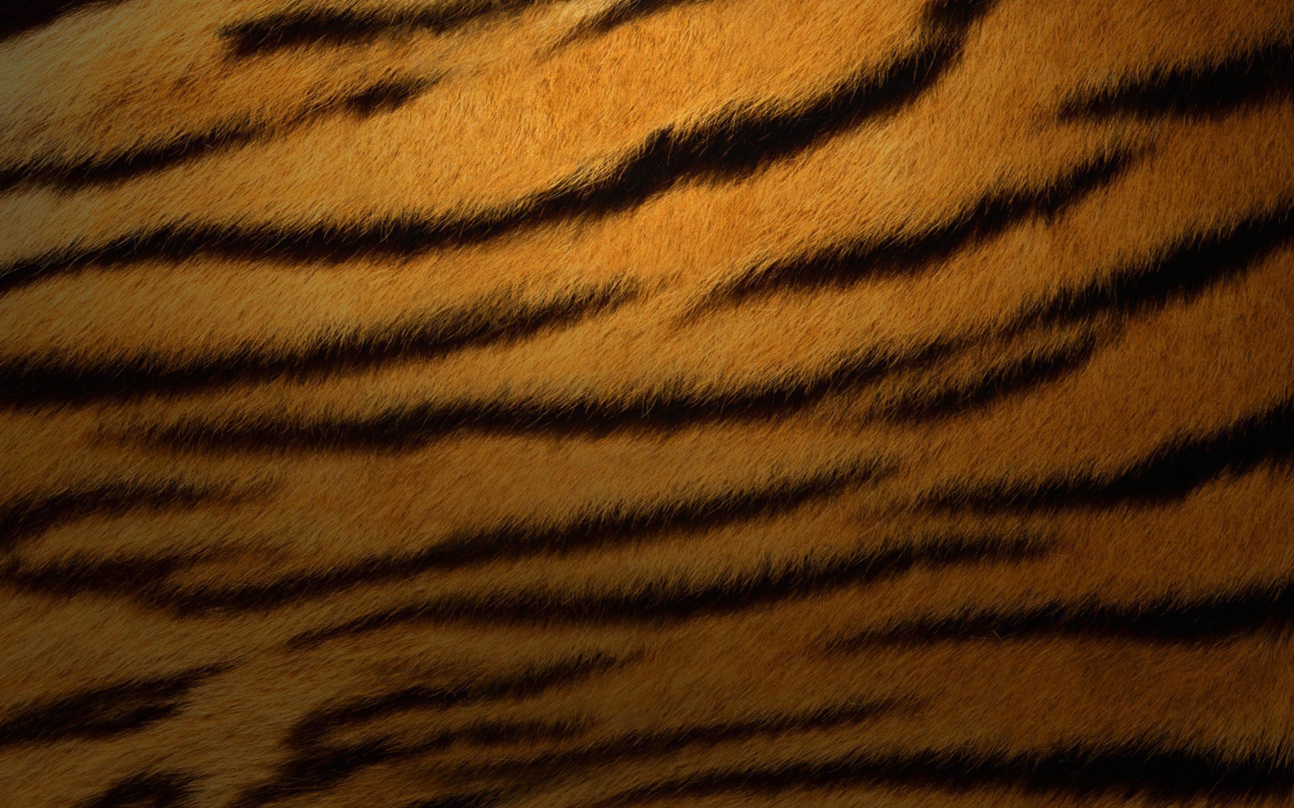 2560x1600 Tiger fur wallpaper thumb