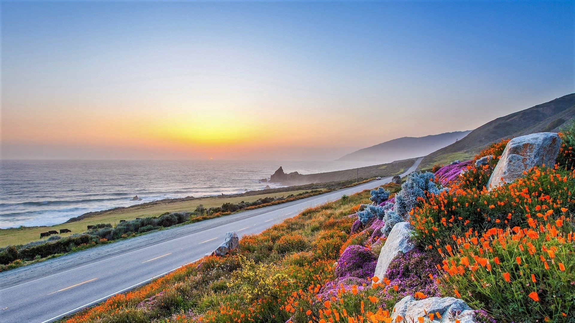 1920x1080 Man Made - Road Horizon Coast California Big Sur Flower Wallpaper
