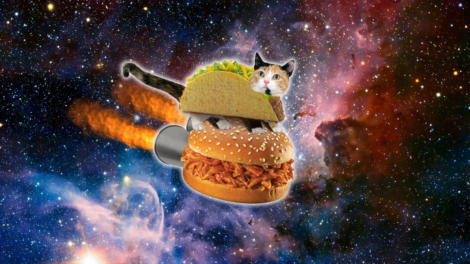 1920x1080 Taco Cat in Space by Jayro Jones 