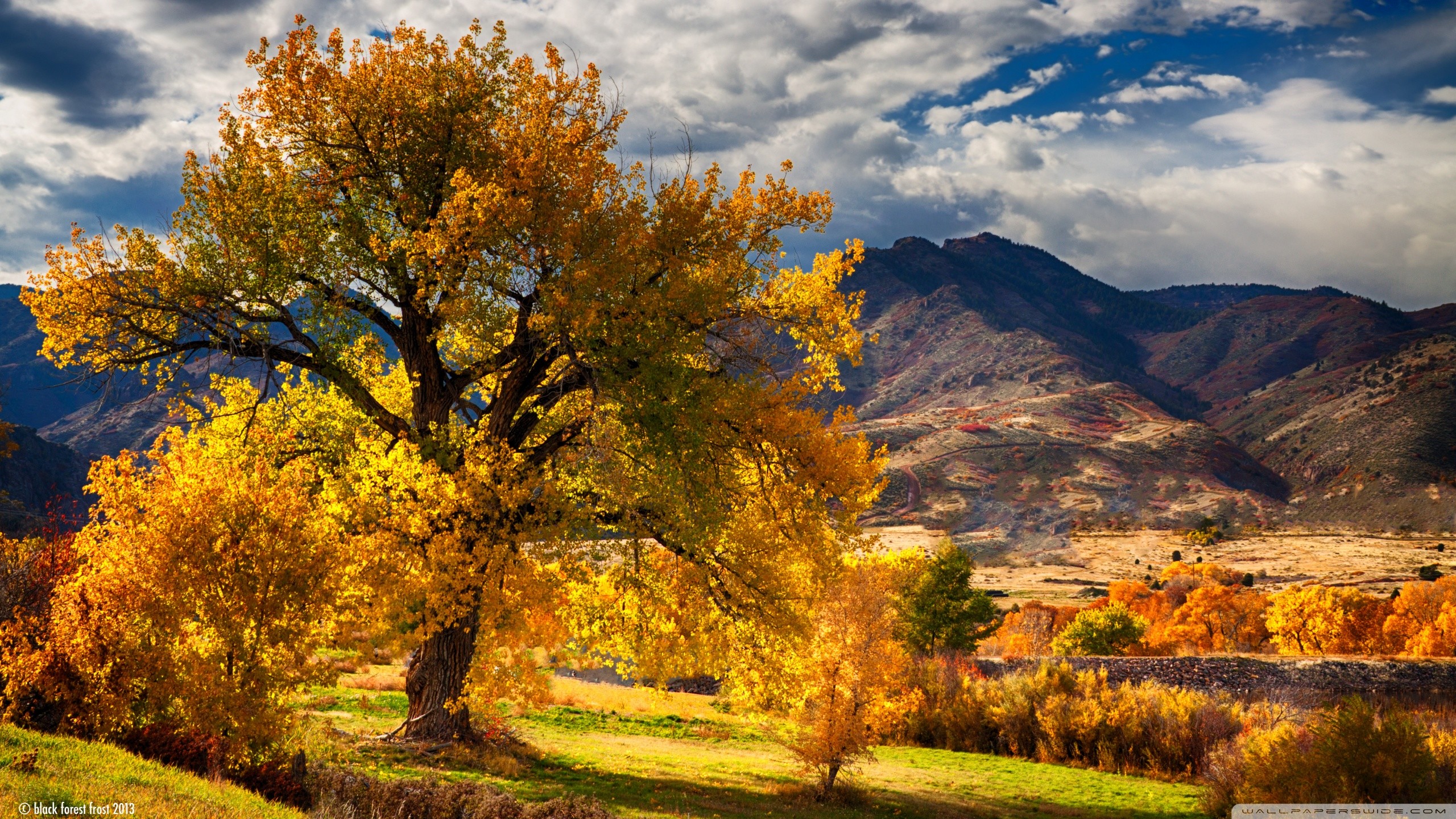 Fall Scenery Wallpaper 57 Images 