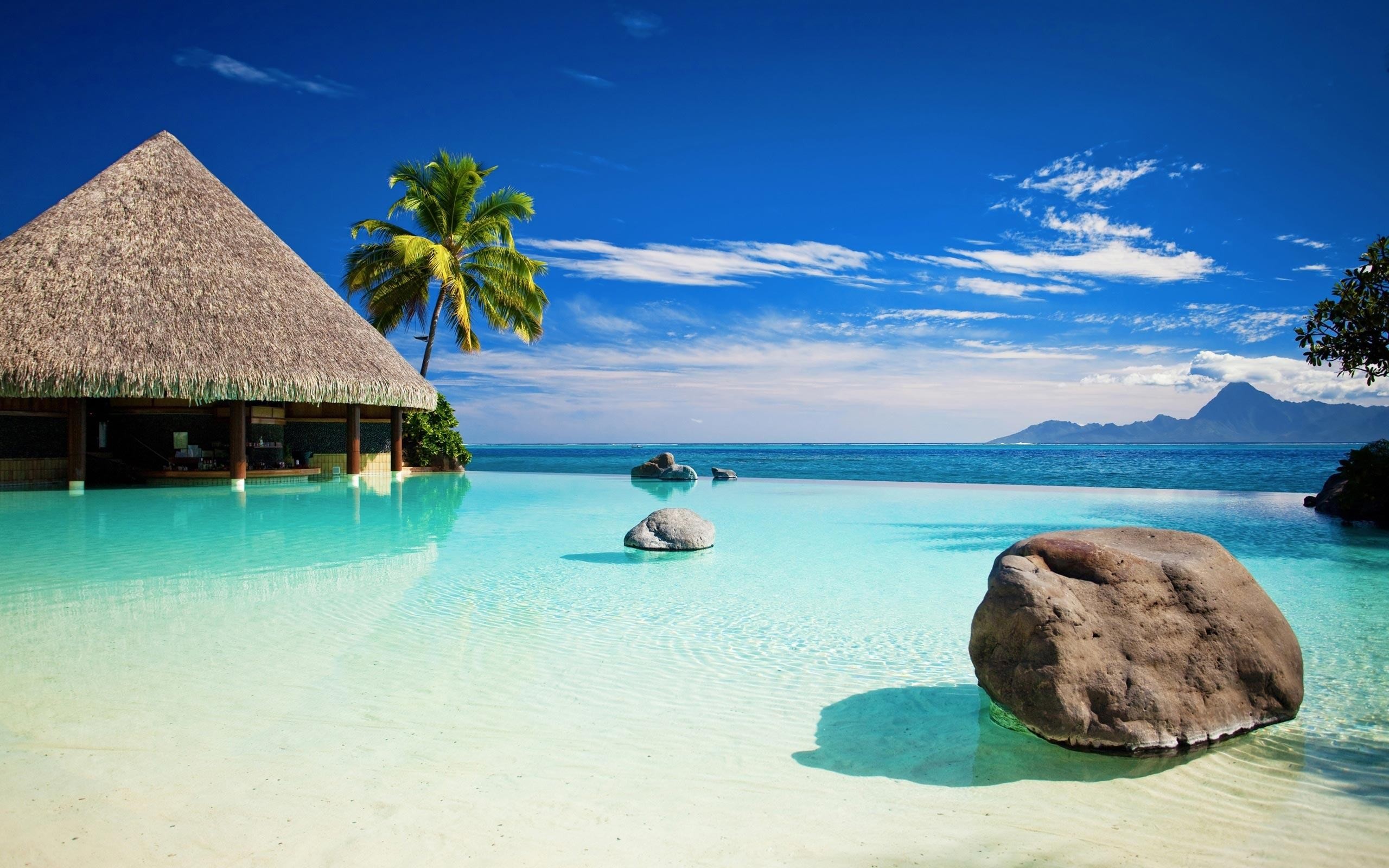 2560x1600 Tropical Beach Backgrounds Wallpapers Images Pictures