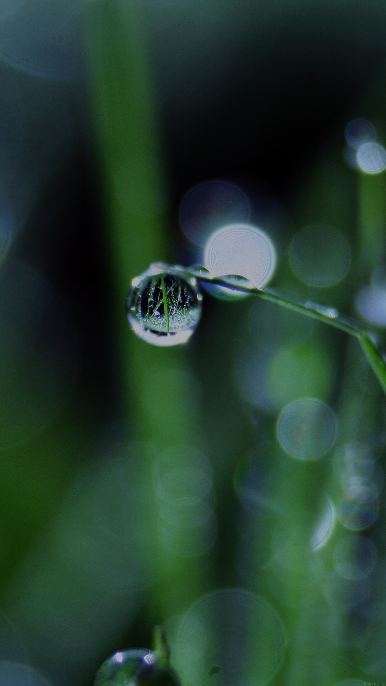 1242x2208 mk62-bokeh-leaf-raindrop-dark-nature-pure