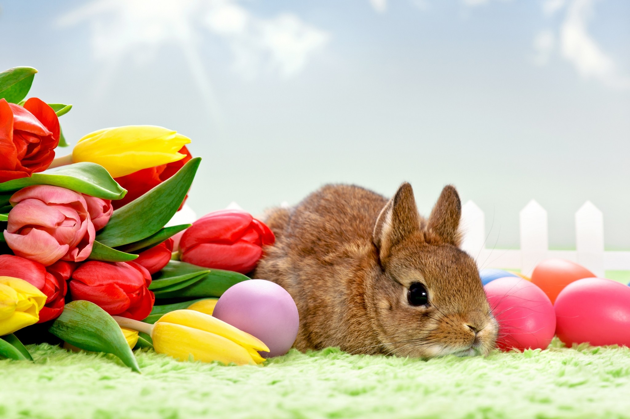 2048x1362 easter pictures for desktop