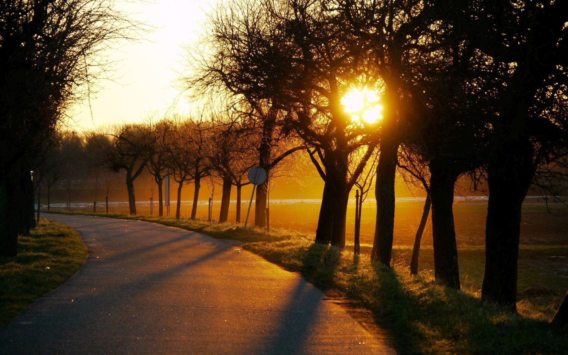 1920x1200 wallpaper.wiki-HQ-Country-Road-Gallery-PIC-WPB001827. Country Road Tree Sun  Sky Free Desktop Background