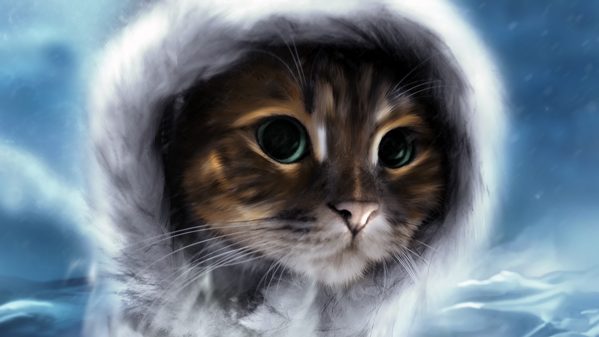 1920x1080 backgrounds for 3d cat wallpaper and backgrounds | www