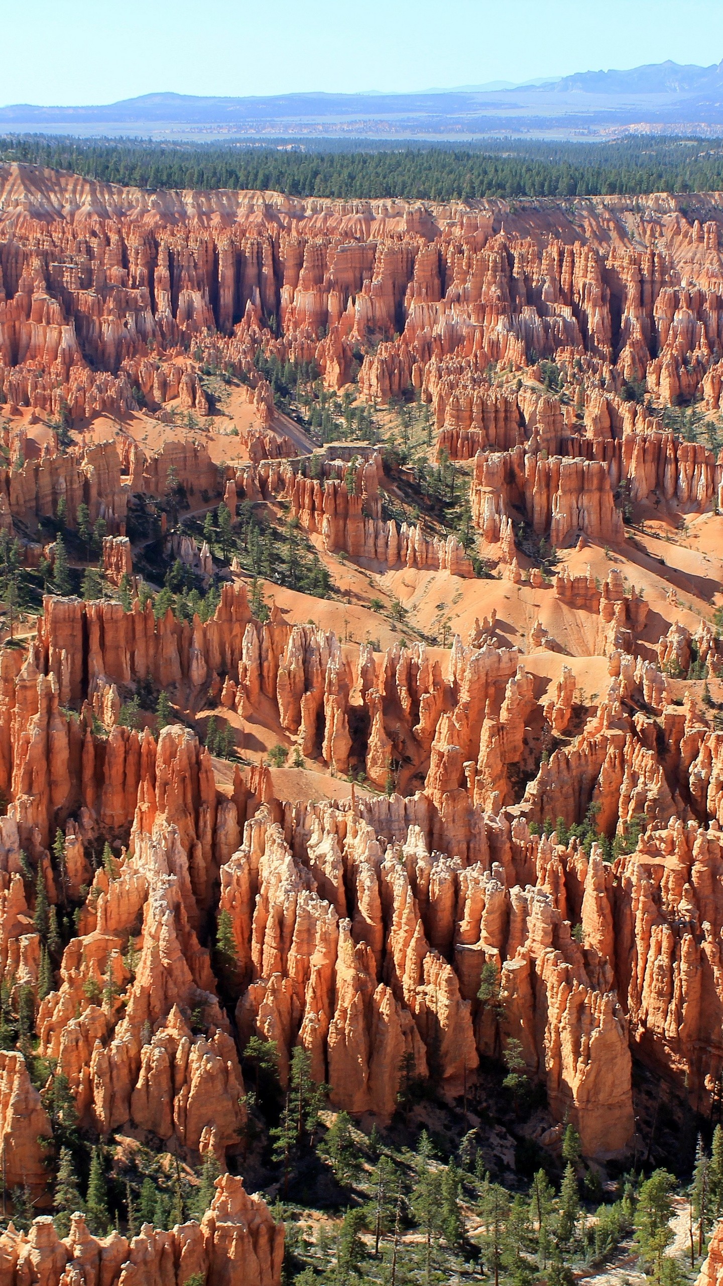 1440x2560  Wallpaper utah, bryce canyon, landscape, beautifully