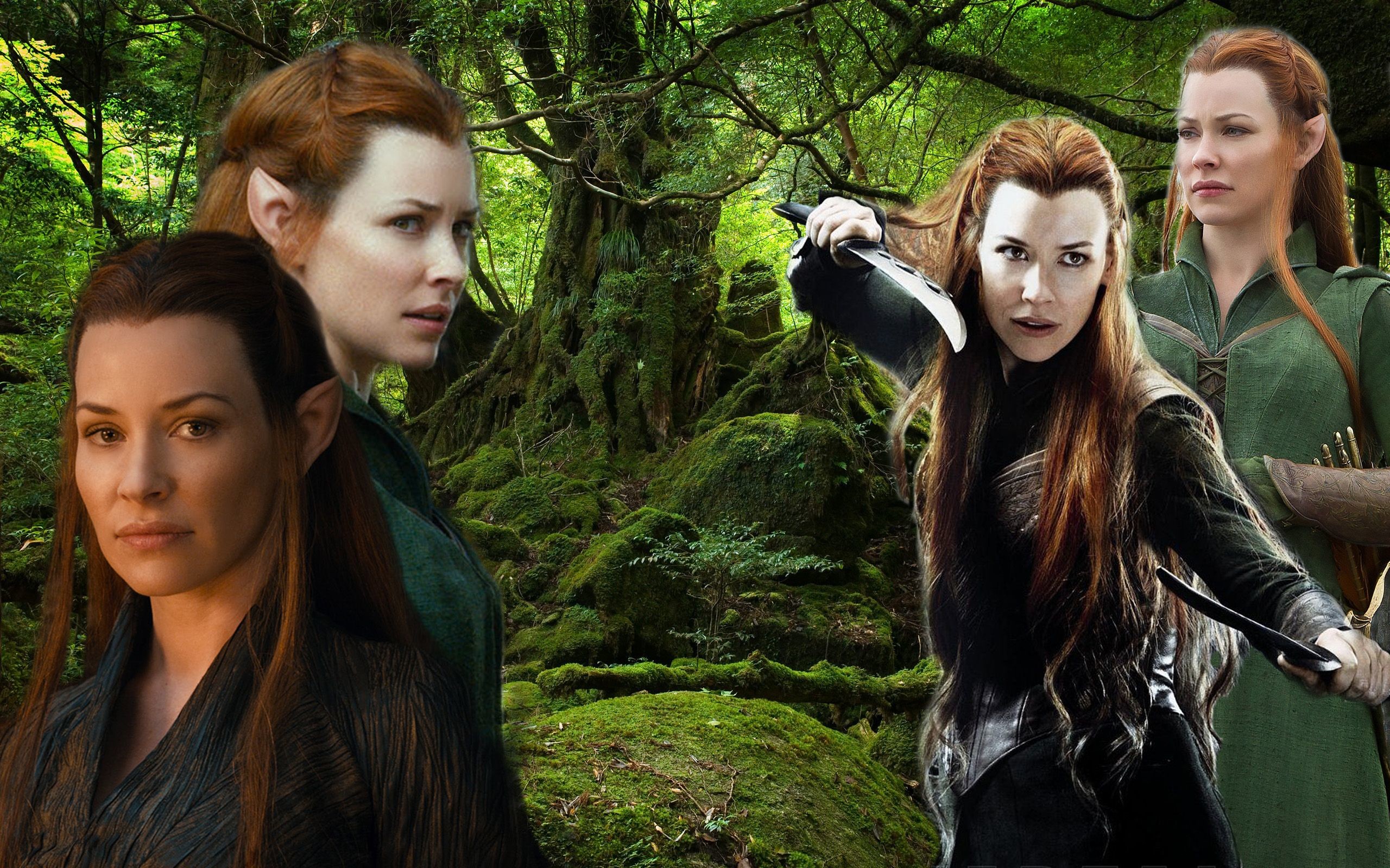 2560x1600 Tauriel Wallpaper (The Hobbit) By Ivymc (I do not own these images, I  merely put them all together with a touch of editing.)