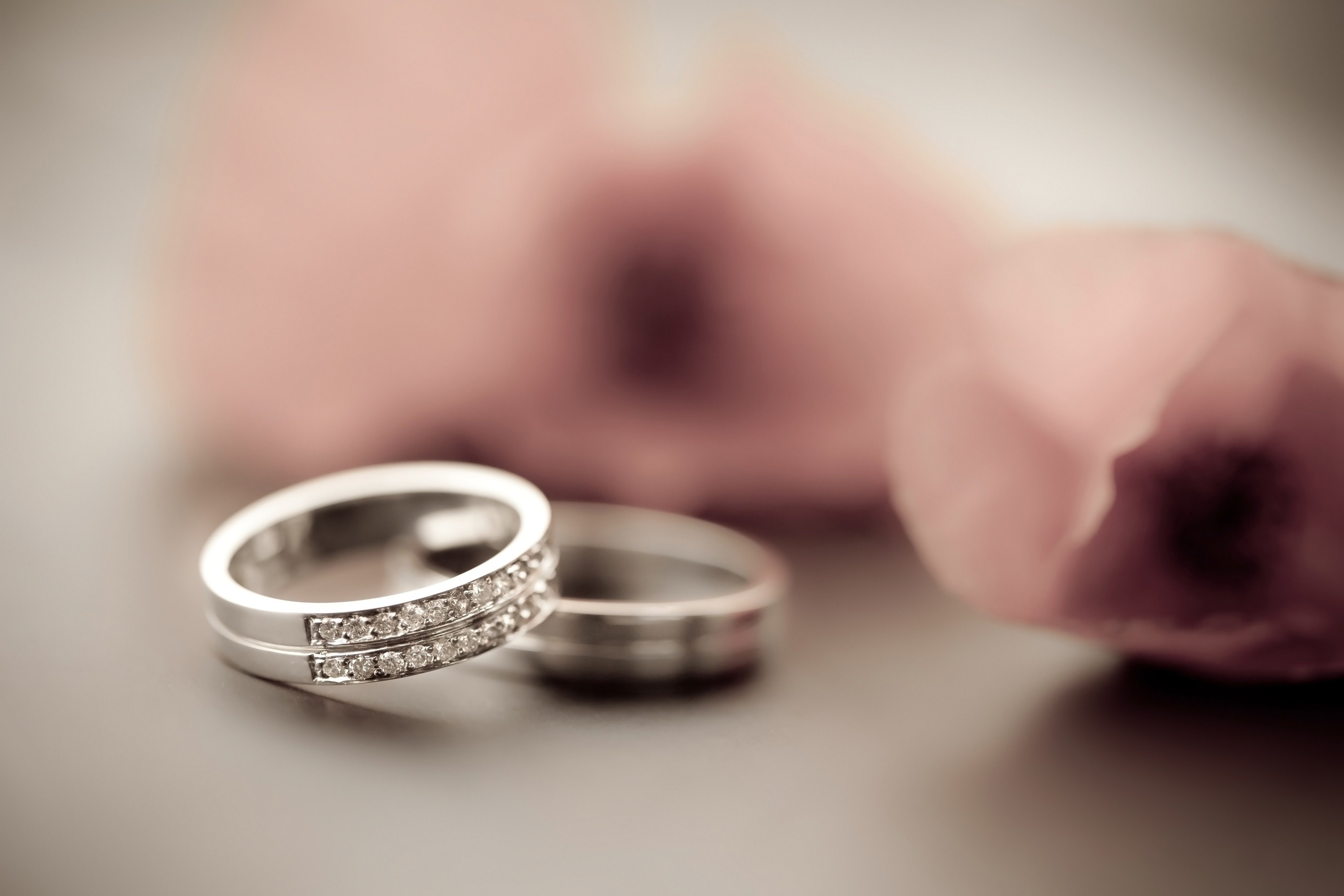 engagement ring wallpapers | Wedding ring shots, Wedding rings, Fall rings