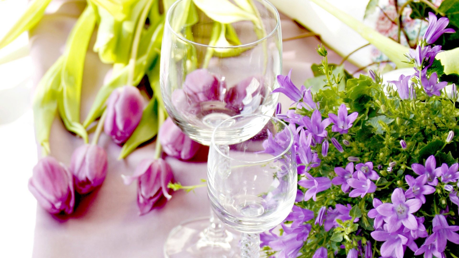 1920x1080 #882277 Color - Tulips Still Life Glass Flowers Beautiful Love Glasses  Romance Tulip Pretty Photography