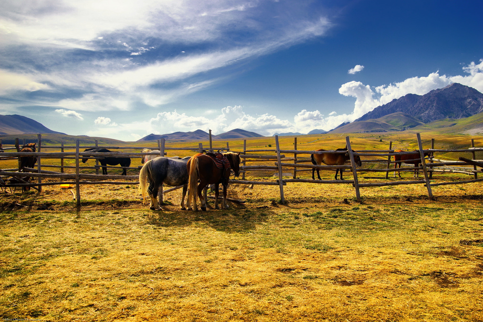 2048x1365 ... 1207 horse hd wallpapers backgrounds wallpaper abyss page 36; farms ...