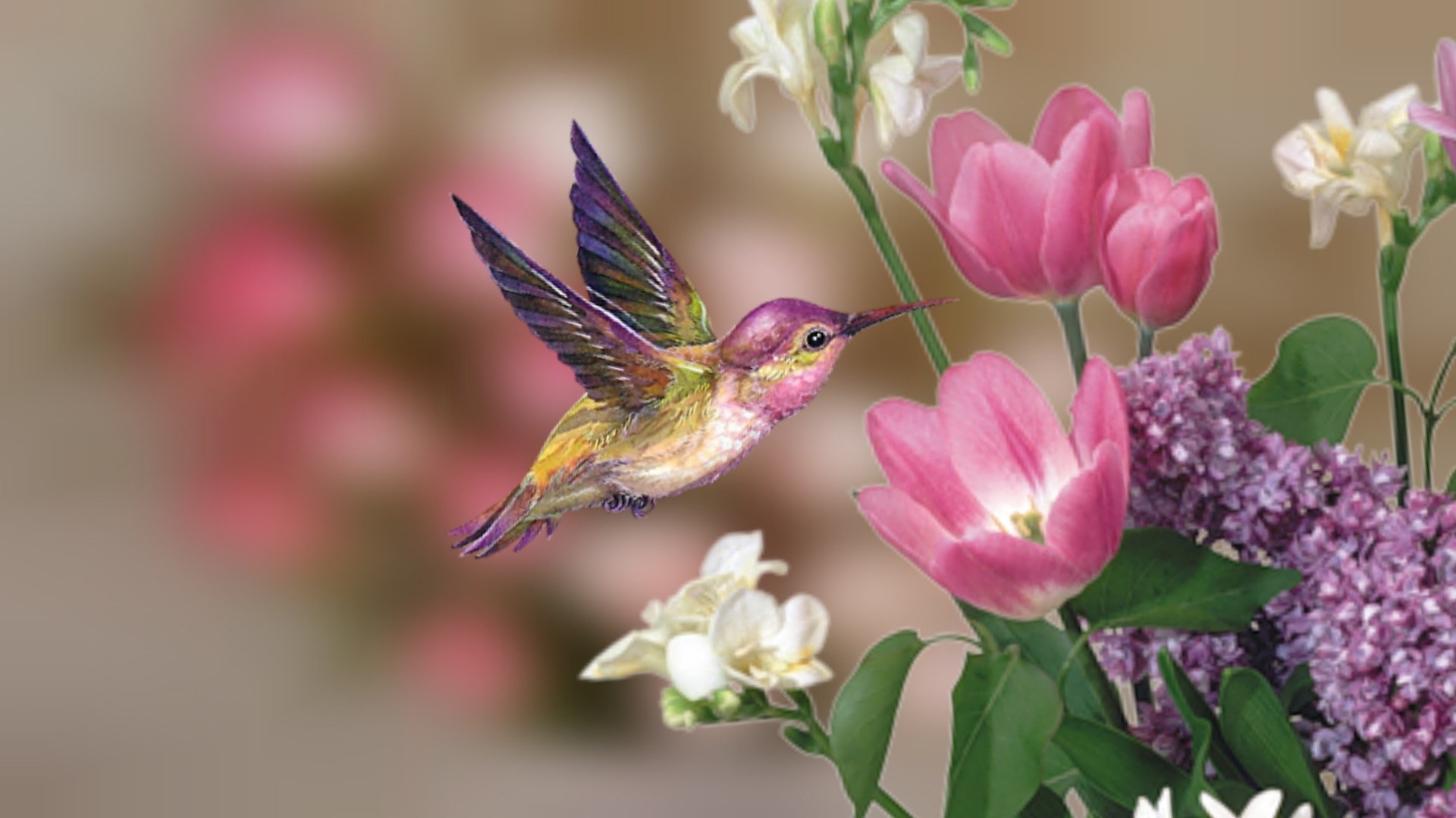 1920x1080 Birds Beautiful Spring Birds Sweet Cute Flowers Wallpaper Free Hd
