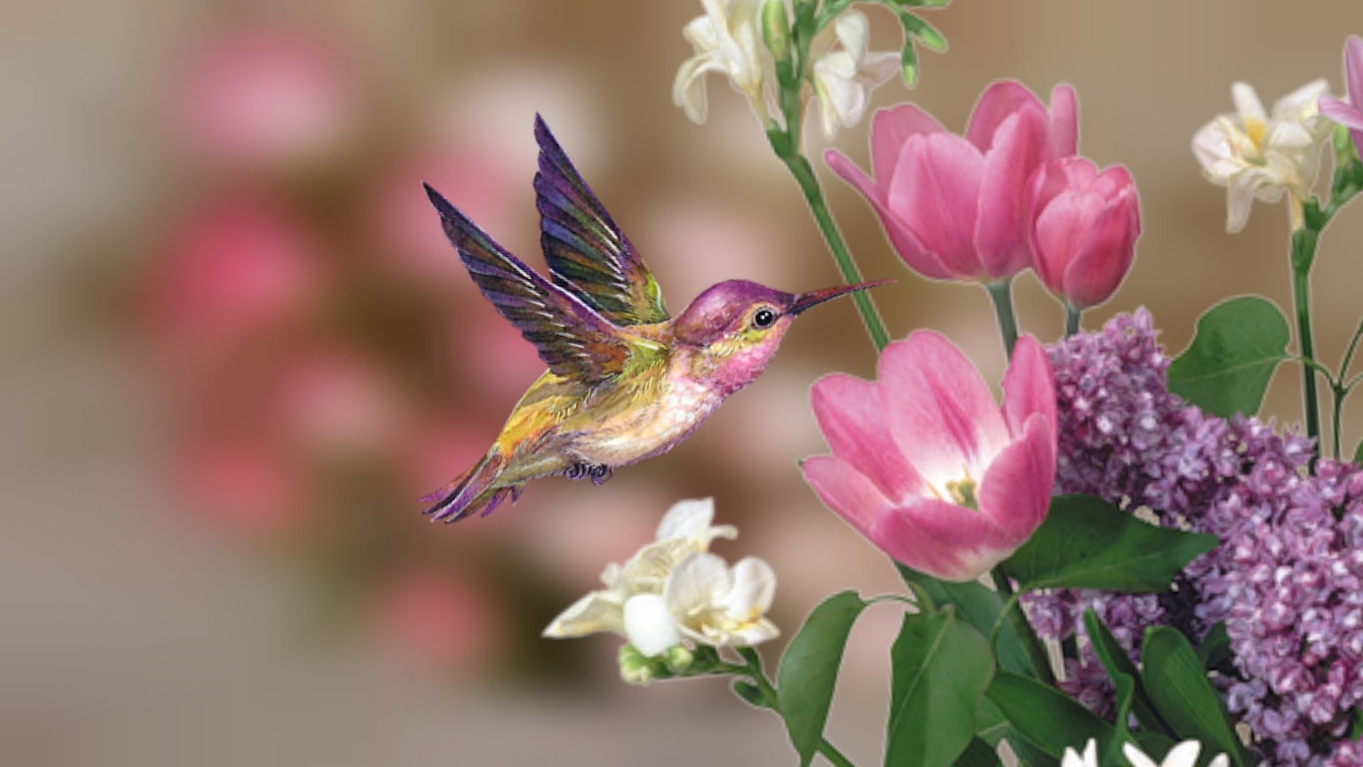 Spring Birds And Flowers Wallpaper 67 Images 