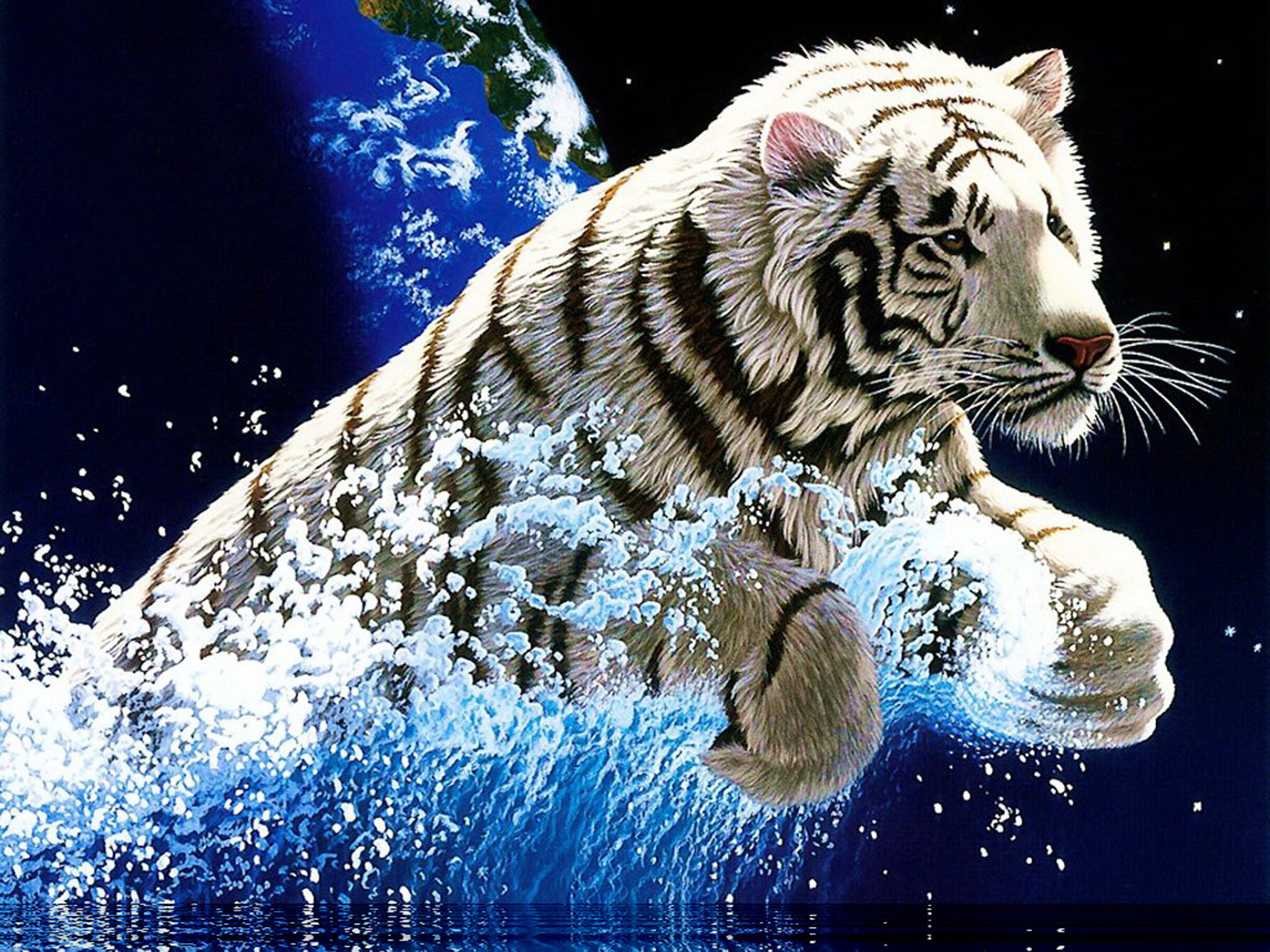1920x1440 White Tiger Wallpapers Widescreen Wallpaper