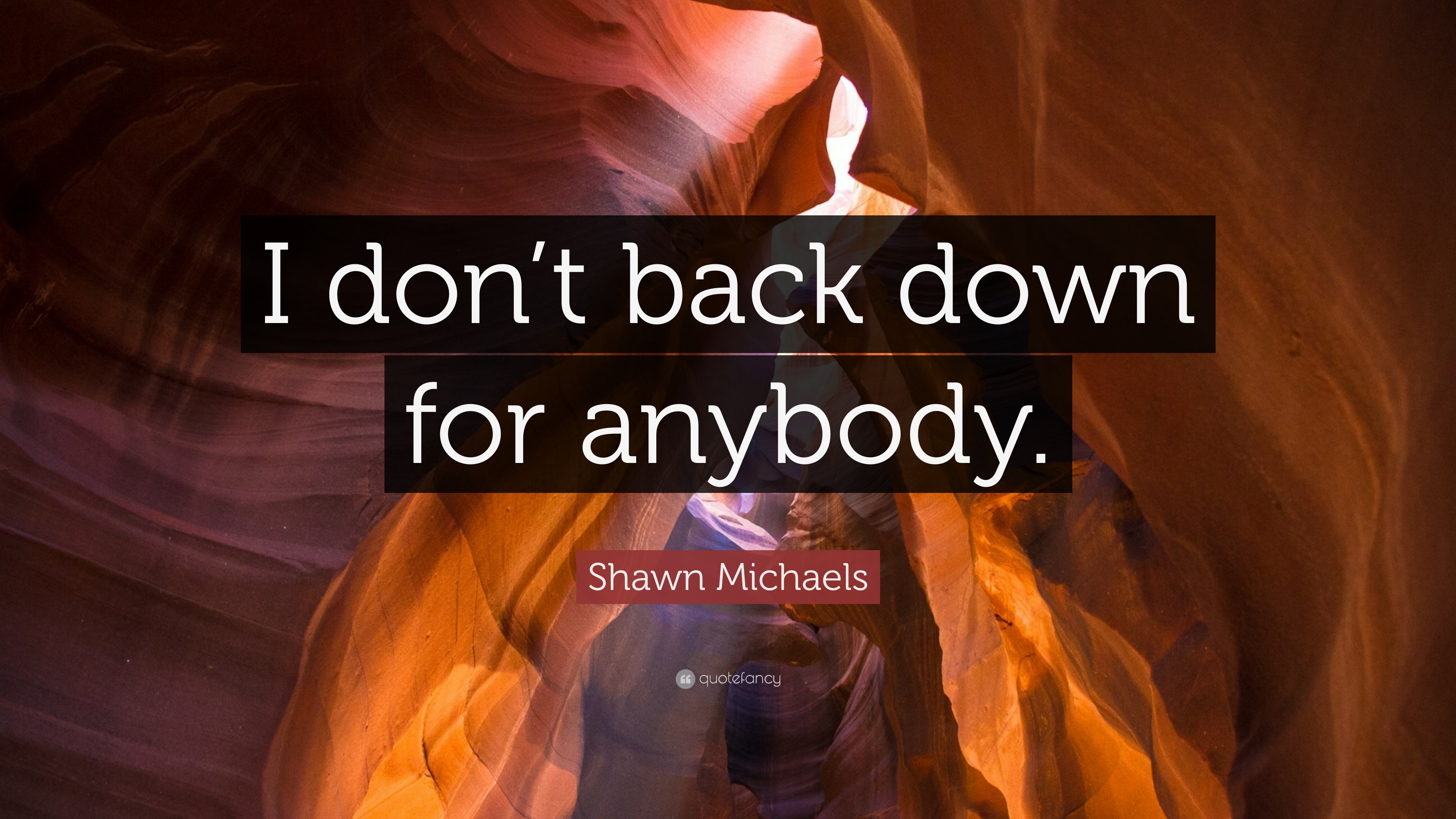 3840x2160 Shawn Michaels Quote: “I don't back down for anybody.”