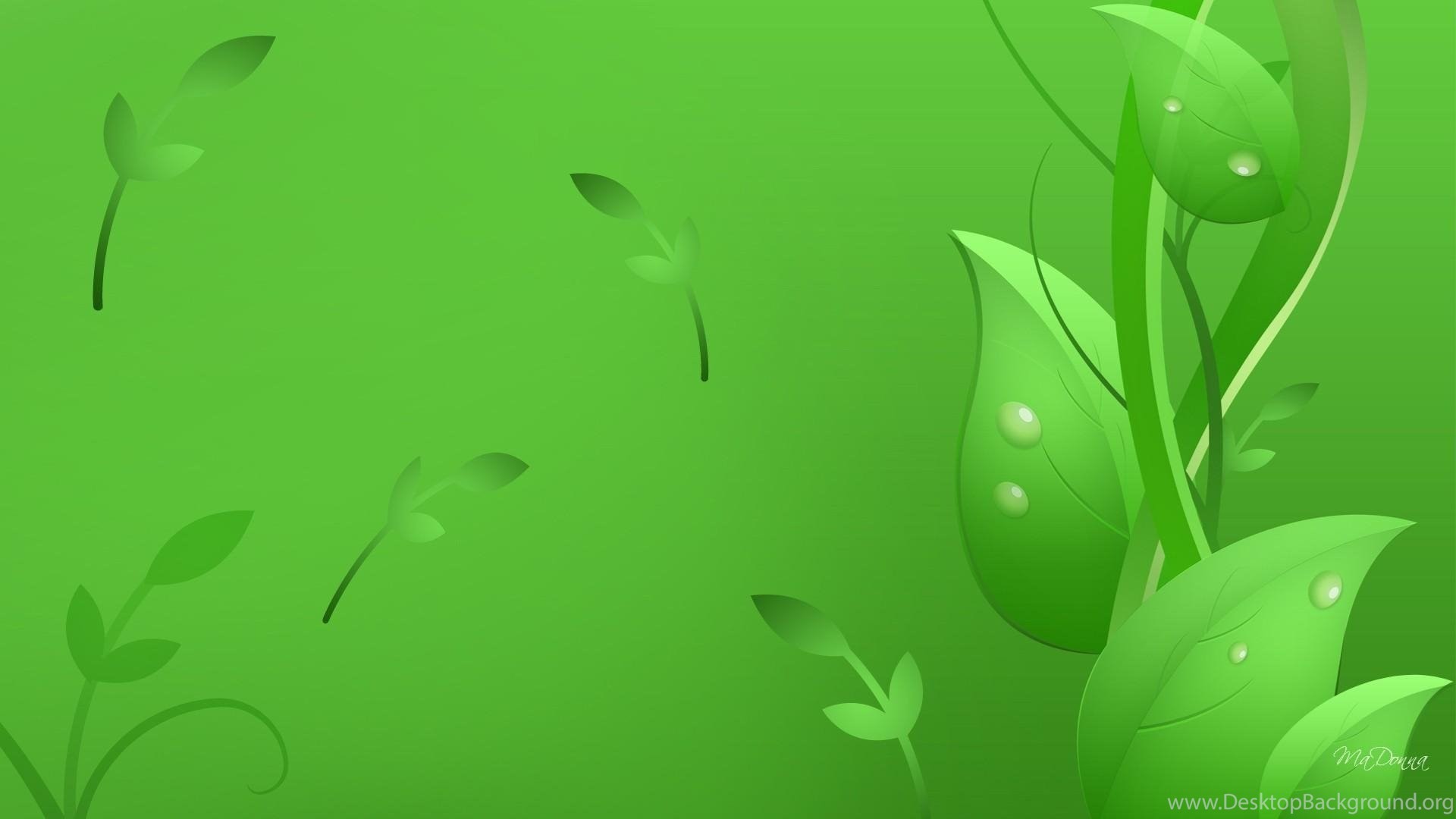 1920x1080 Fresh And Natural Green Leaf Wallpapers Image 1280x960 Hd Wallpapers .