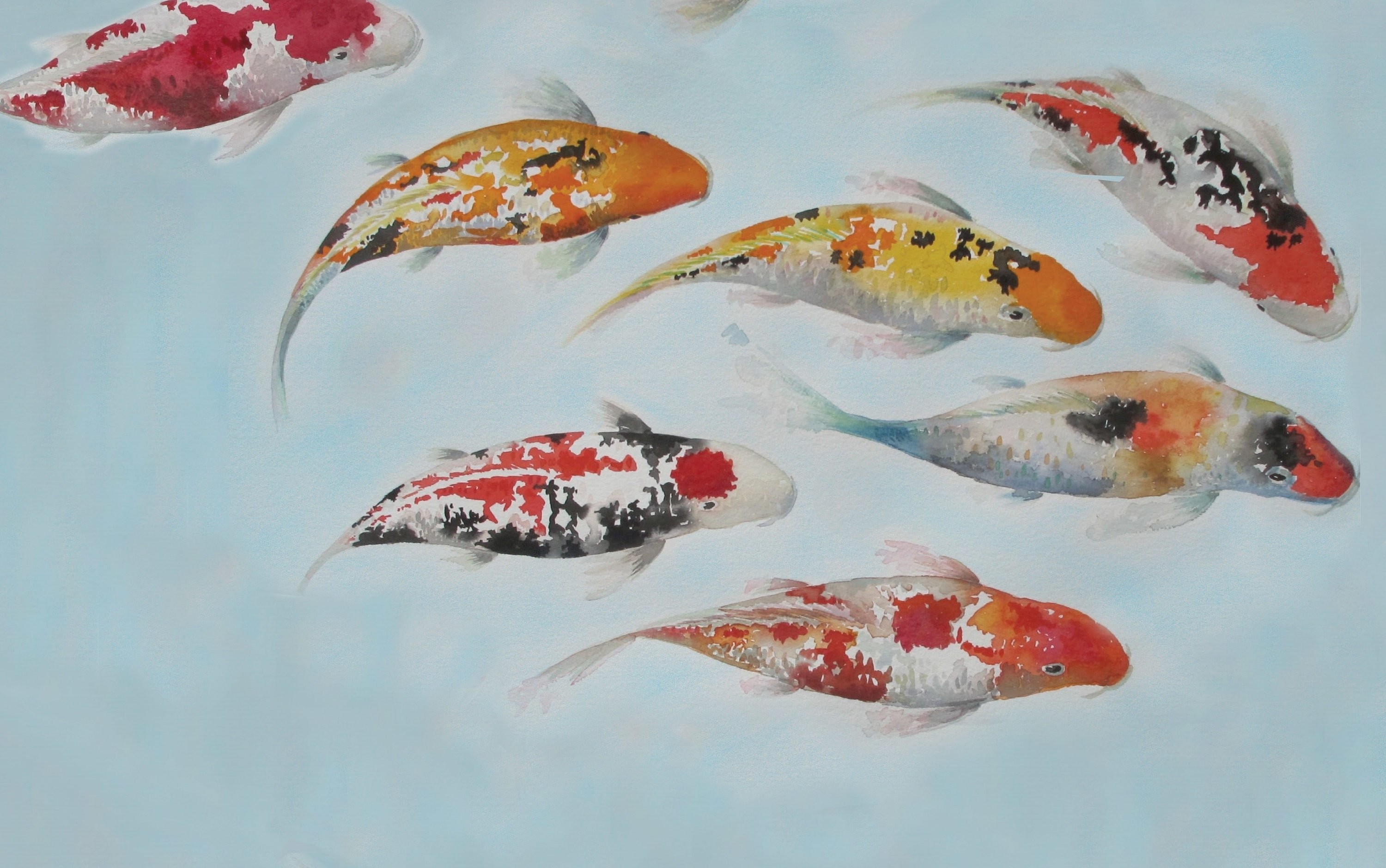 3000x1880 Koi Wallpaper, koi carp, fishes wallpaper, asian wallpaper, asian decor, Koi  Fish Wall, japanese wallpaper, Koi Fish Wallpaper, japan carp
