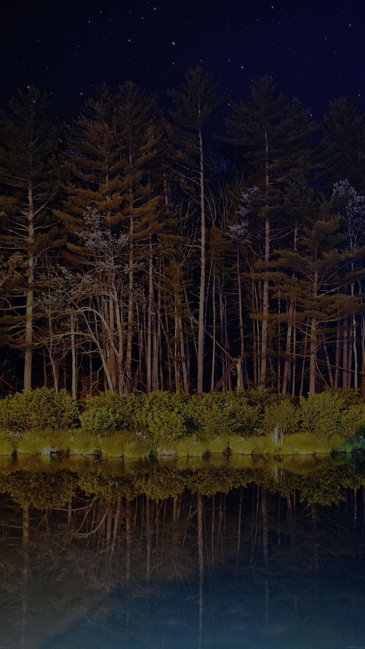 1242x2208 Night Dark Wood With Lake Nature