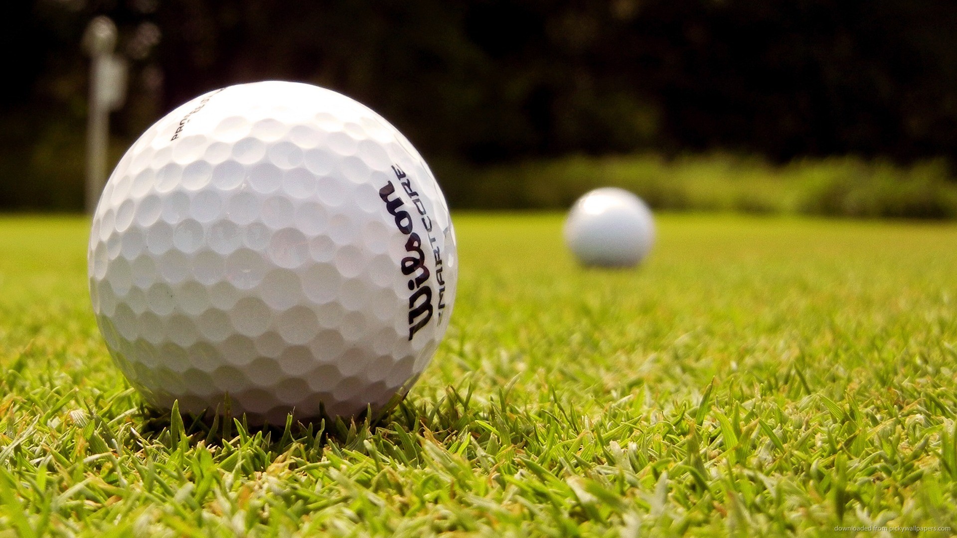 1920x1080 Two Wilson golf balls picture