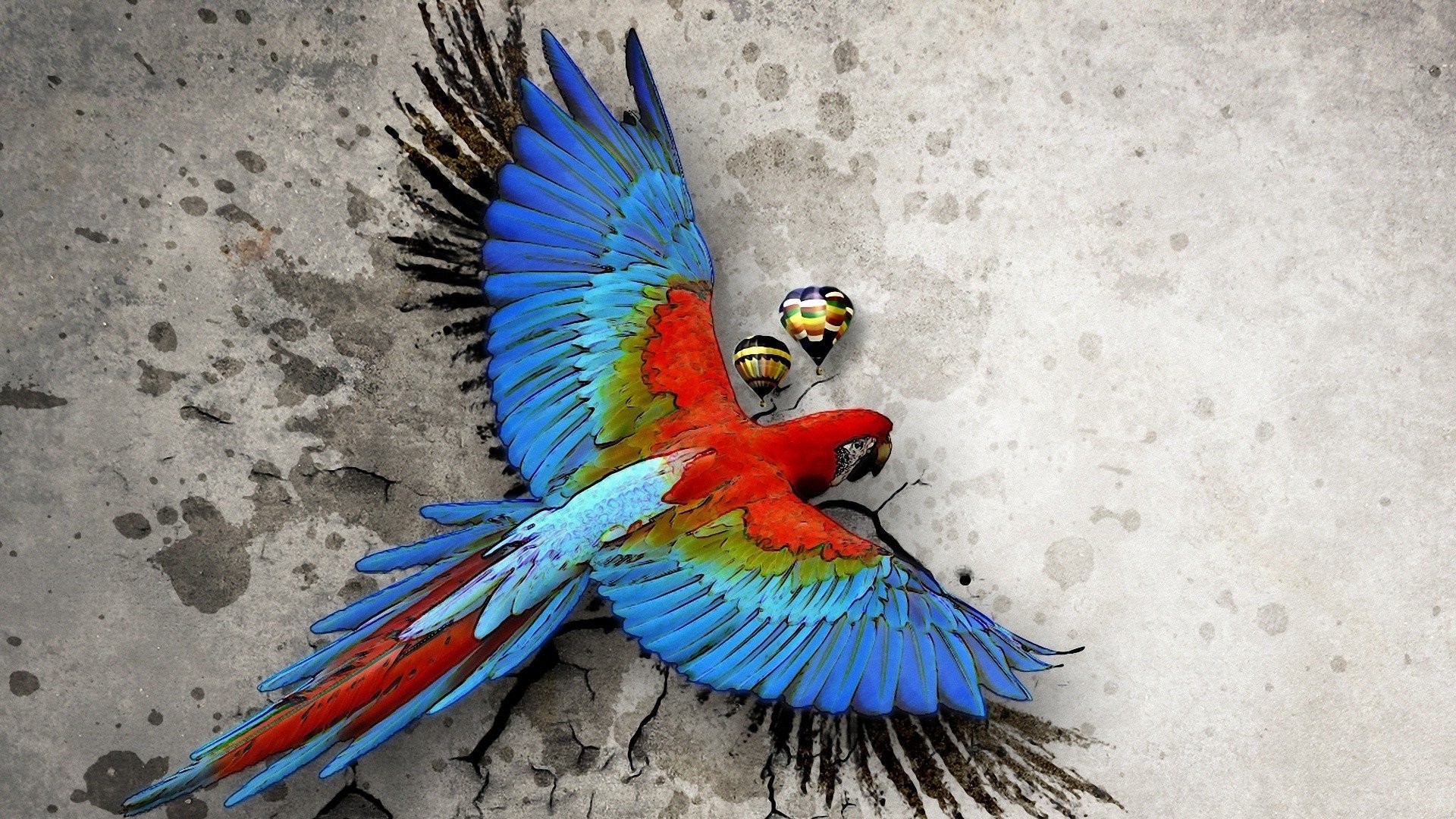 1920x1080 Macaw parrot bird tropical psychedelic artwork art wallpaper |  |  362837 | WallpaperUP