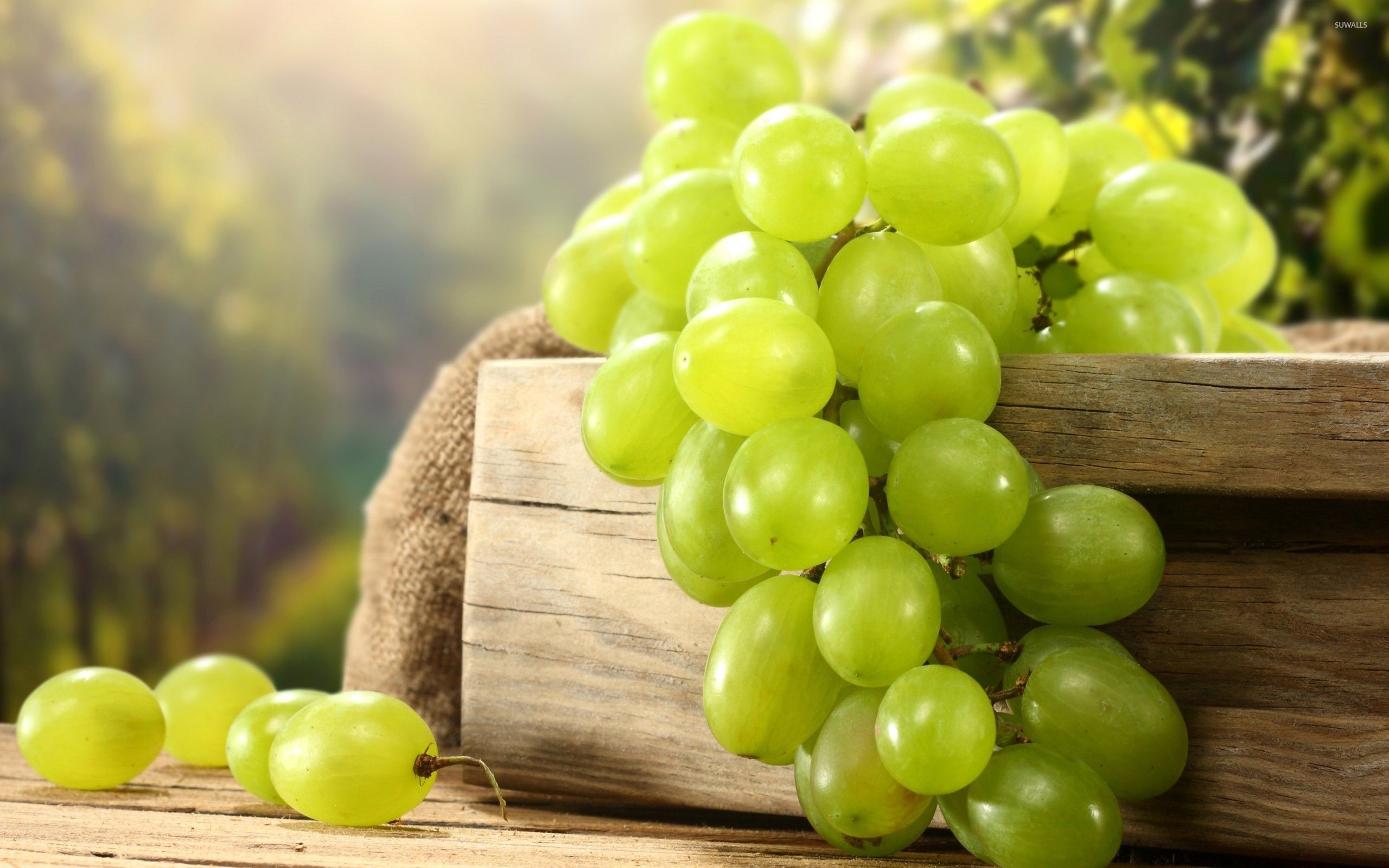 2560x1600 Green grapes [2] wallpaper  jpg