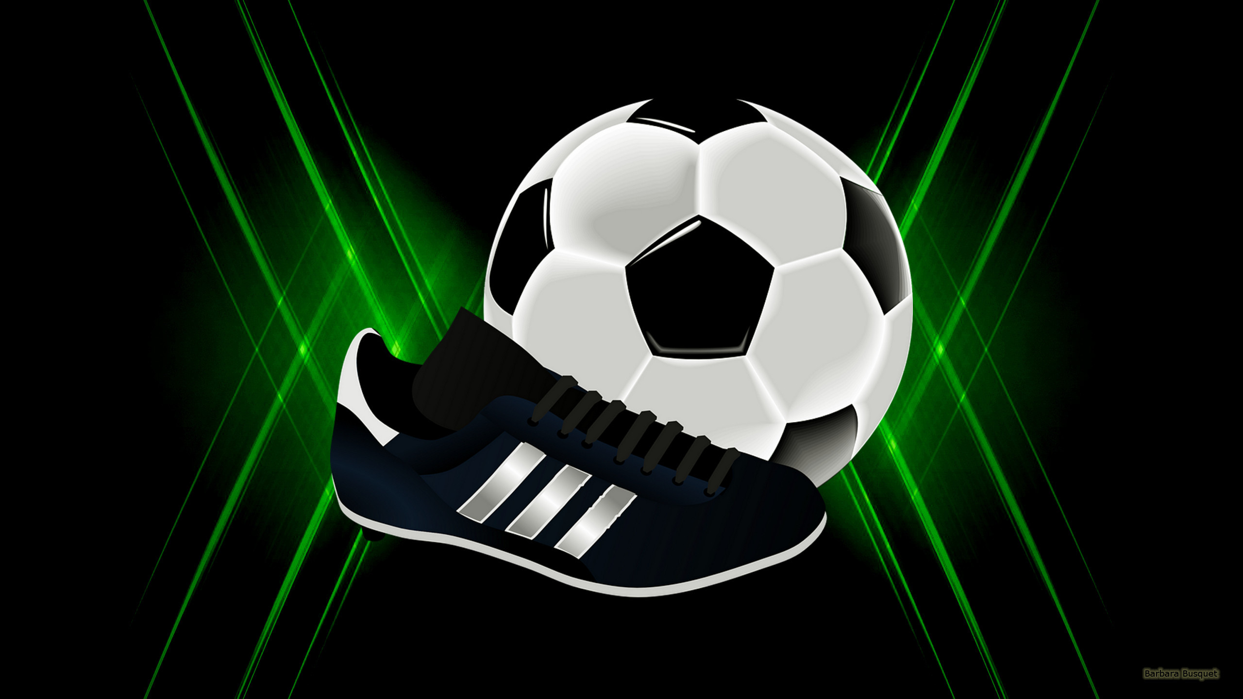 2560x1440 Soccer wallpaper with a football (or soccer ball??) and a dark blue shoe.