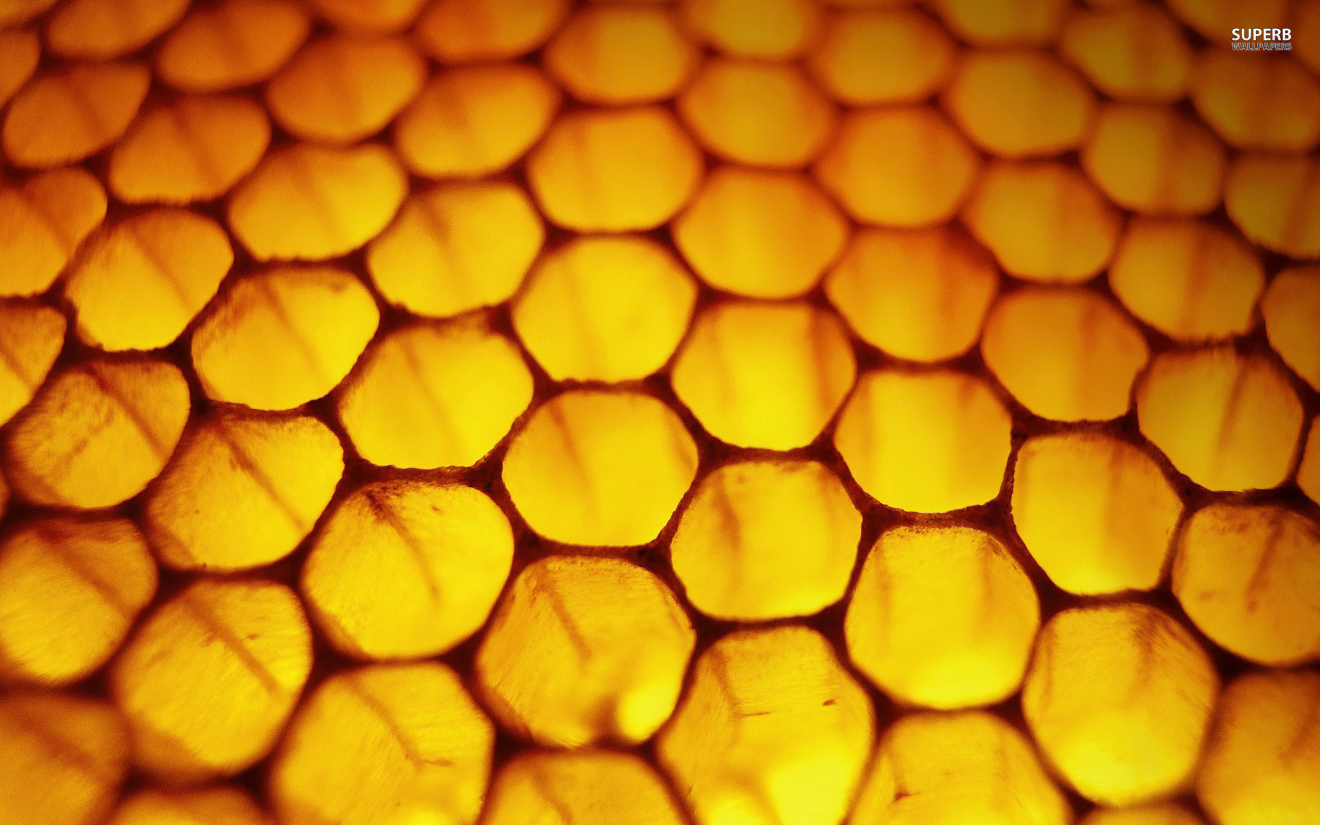 1920x1200 Honeycomb Abstract HD Wallpapers | WallpapersIn4k.net