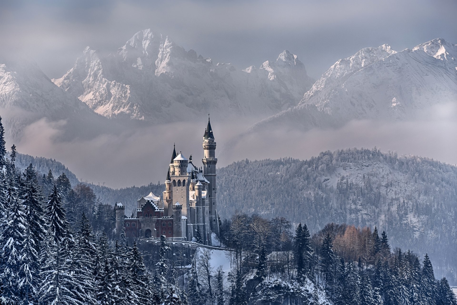 1920x1280 germany bayern munich neuschwanstein castle sky clouds mountain tree snow  winter