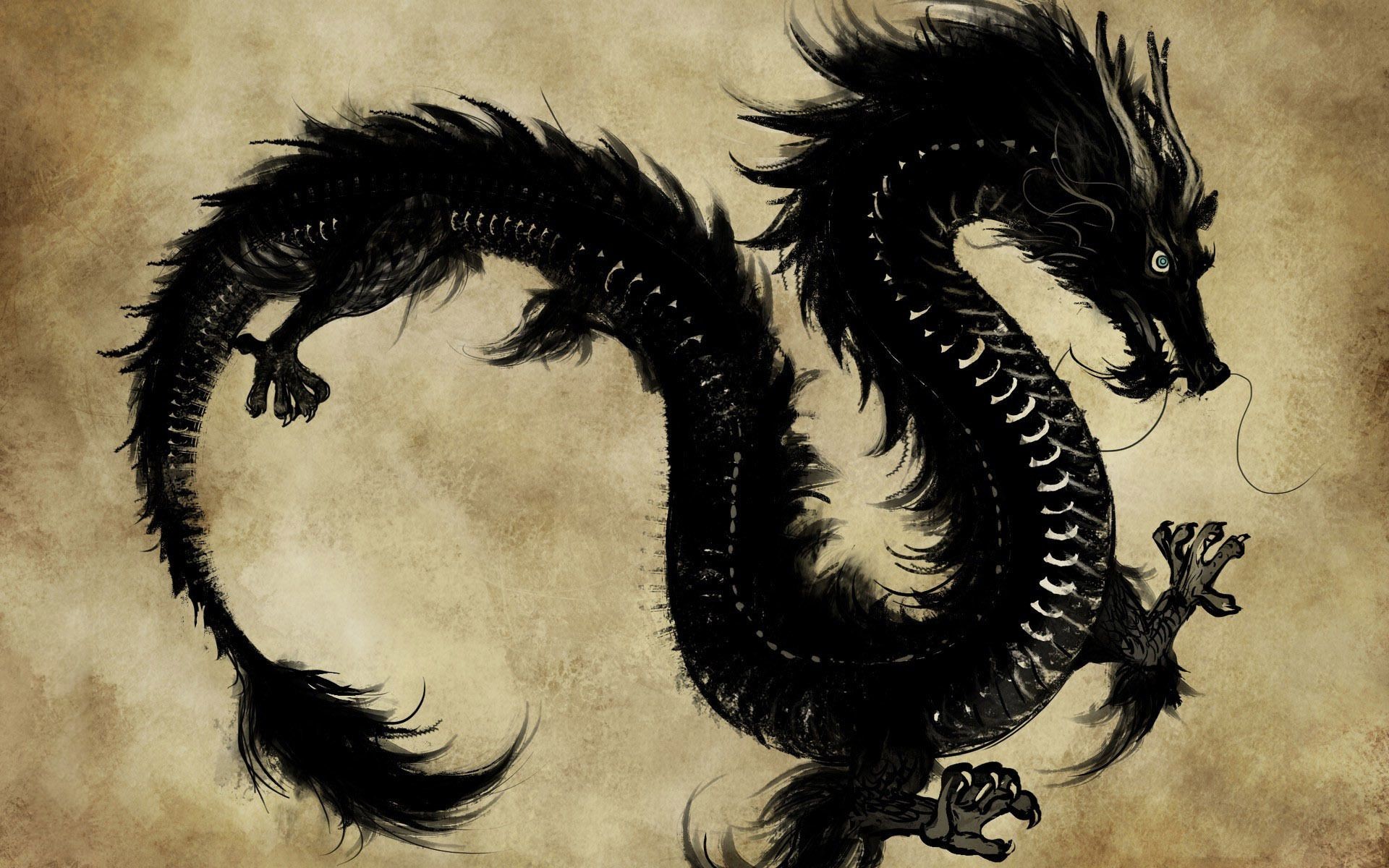 1920x1200 Collection Of Chinese Dragon Wallpaper On HDWallpapers