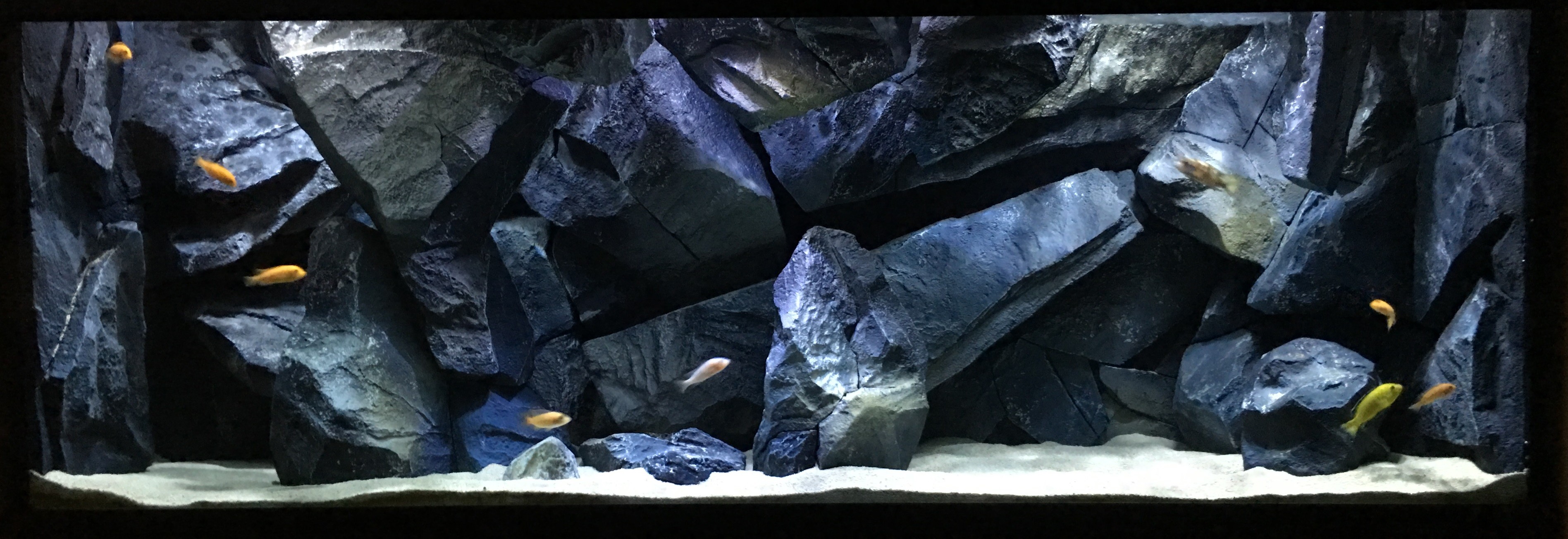 3793x1305 3D Backgrounds | NatureDecor | 3D Aquarium Backgrounds & Fish Tank  Decorations