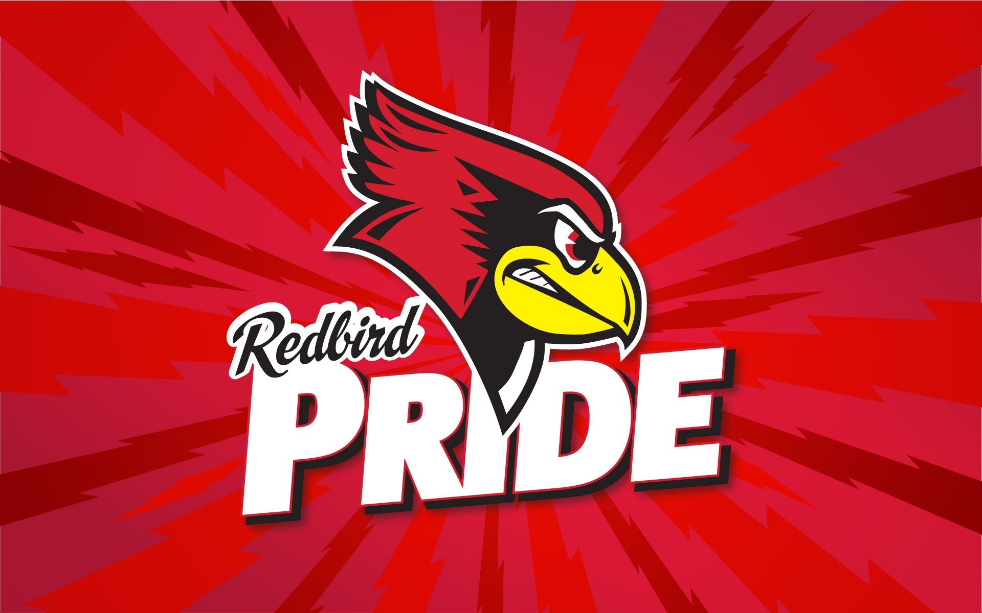 1920x1200 Illinois State University Redbirds. UPLOAD. TAGS: IDENTITY Pride Desktop  Backgrounds Background